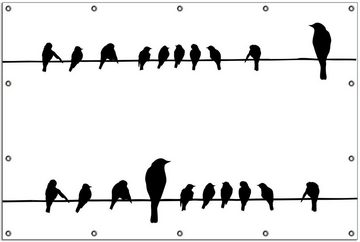 Wallario Sichtschutzzaunmatten Vögel auf einer Stromleitung