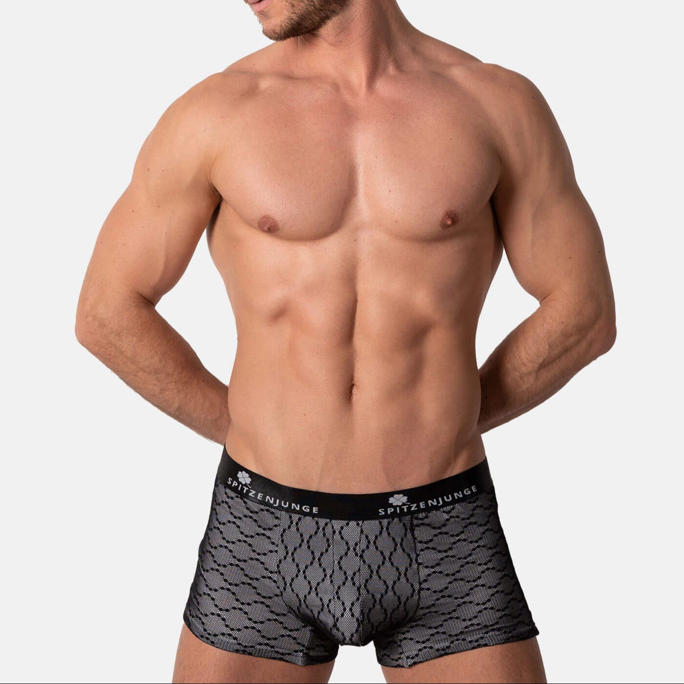 SPITZENJUNGE Boxer Teramo