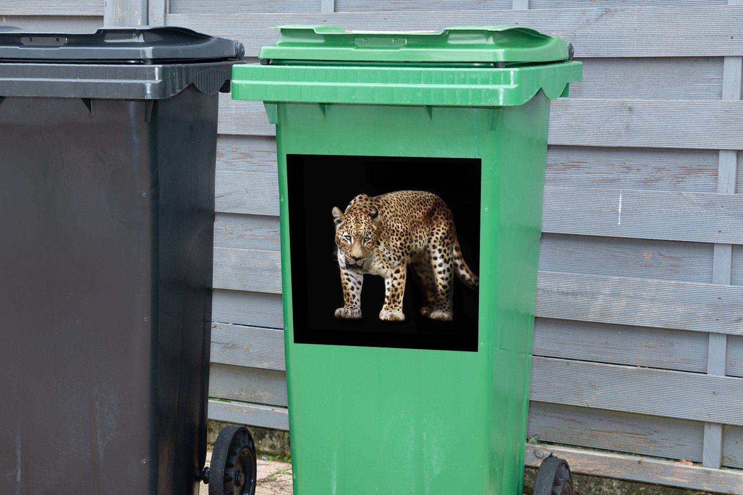 Abfalbehälter Fell Sticker, - Mülleimer-aufkleber, Wandsticker Leopard Wild (1 - MuchoWow Mülltonne, St), Container,