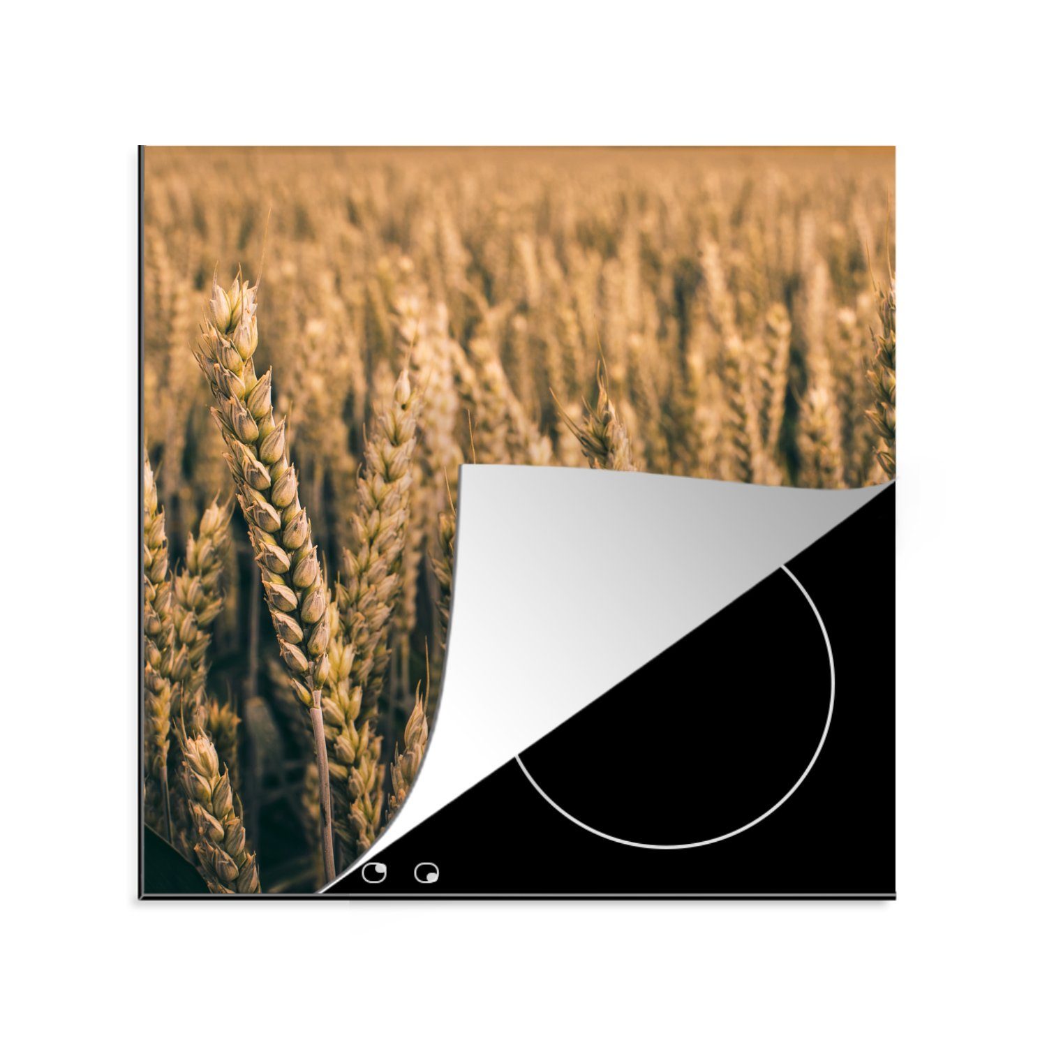 MuchoWow Herdblende-/Abdeckplatte Weizen - Landwirtschaft - Natur, Vinyl, (1 tlg), 78x78 cm, Ceranfeldabdeckung, Arbeitsplatte für küche