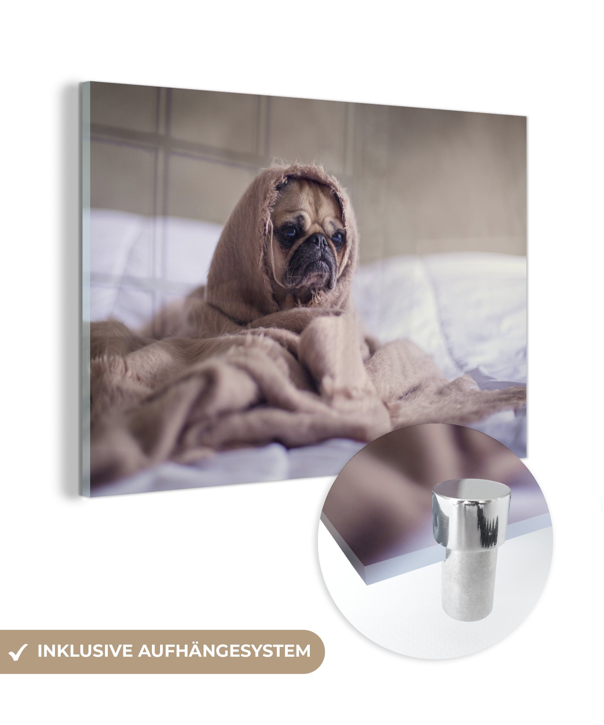 MuchoWow Acrylglasbild Hund & Decke (1 St), Schlafzimmer Acrylglasbilder Wohnzimmer Bett, - 