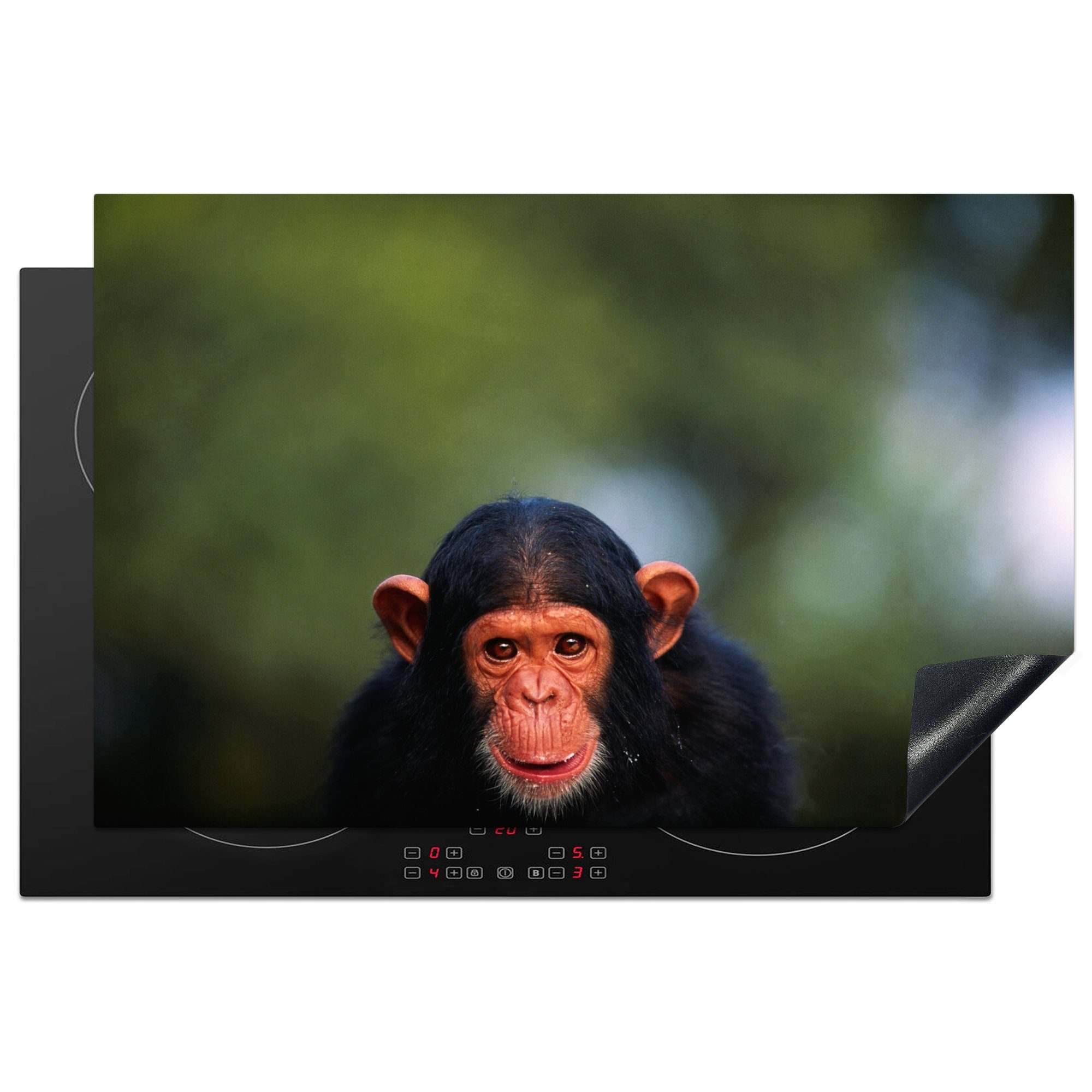 MuchoWow Herdblende-/Abdeckplatte Schimpansen-Affe vor verblasstem Hintergrund, Vinyl, (1 tlg), 81x52 cm, Induktionskochfeld Schutz für die küche, Ceranfeldabdeckung