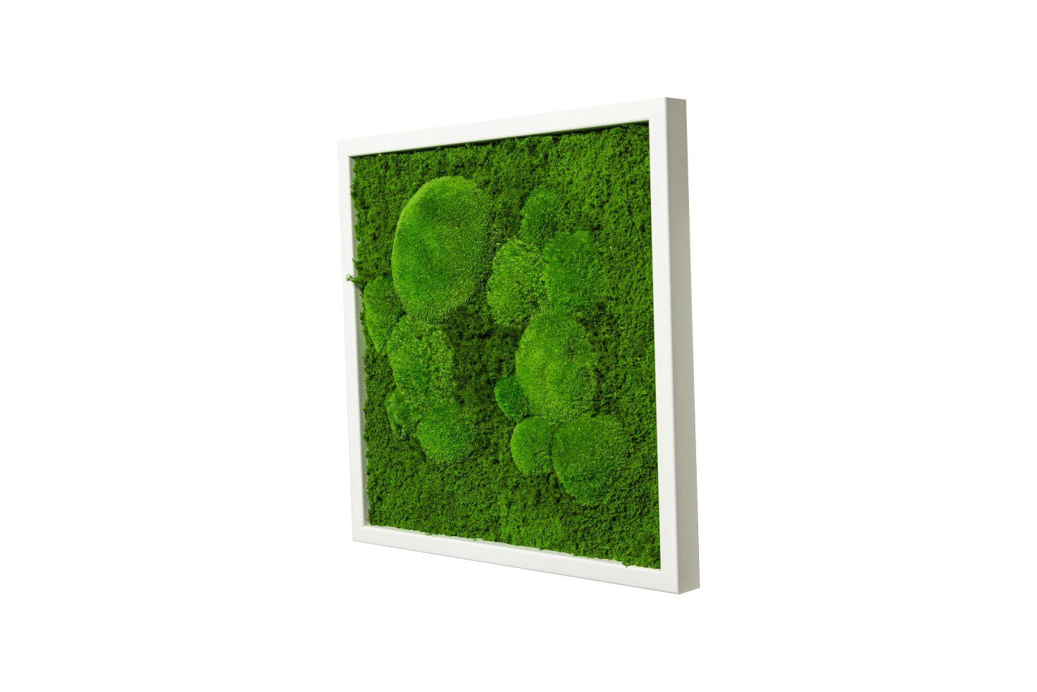 Moos-Design Bild Moosbild Fifty Fifty Design günstig online kaufen