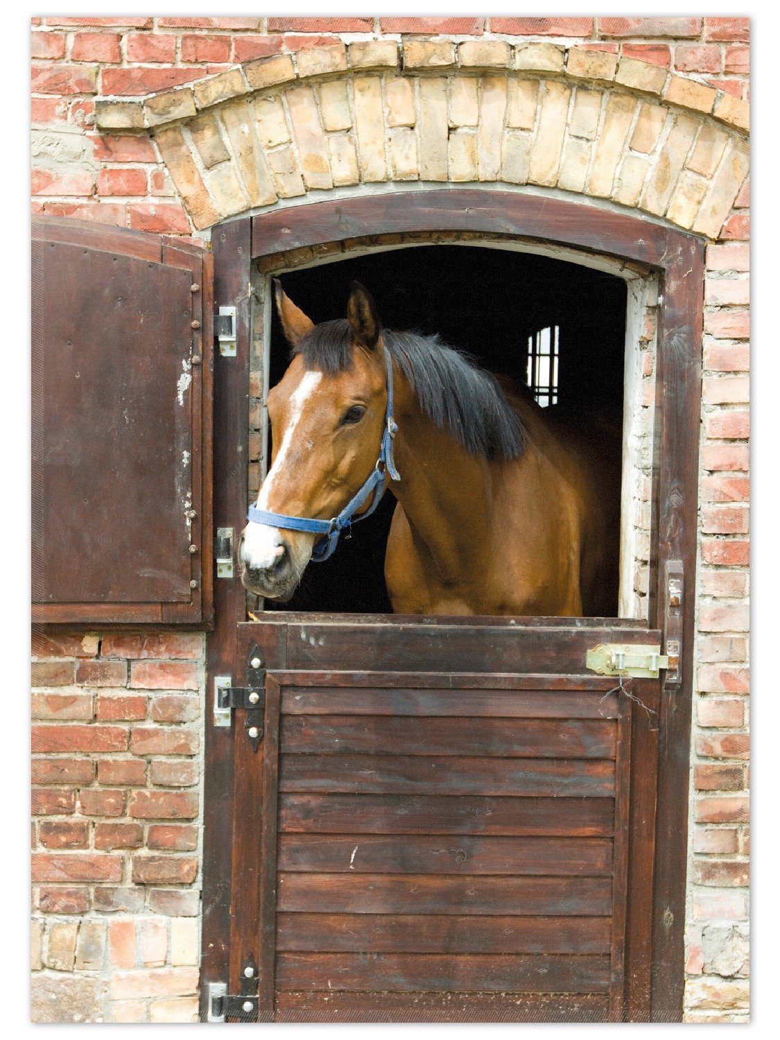 Wallario Teppich Pferd im Stall, rechteckig, rutschfest