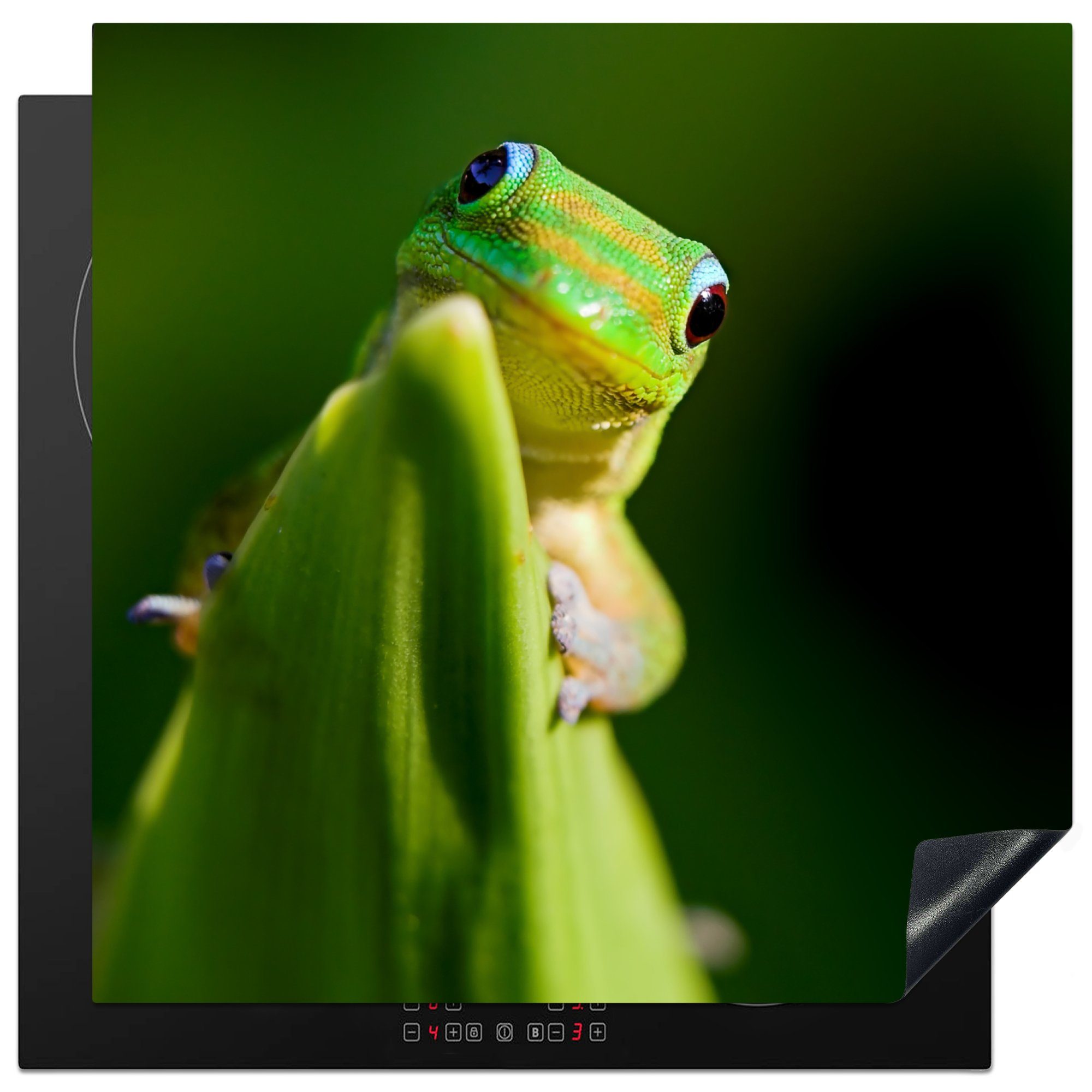 MuchoWow Herdblende-/Abdeckplatte Lachender Gecko auf einem Blatt, Vinyl, (1 tlg), 78x78 cm, Ceranfeldabdeckung, Arbeitsplatte für küche | Herdabdeckplatten