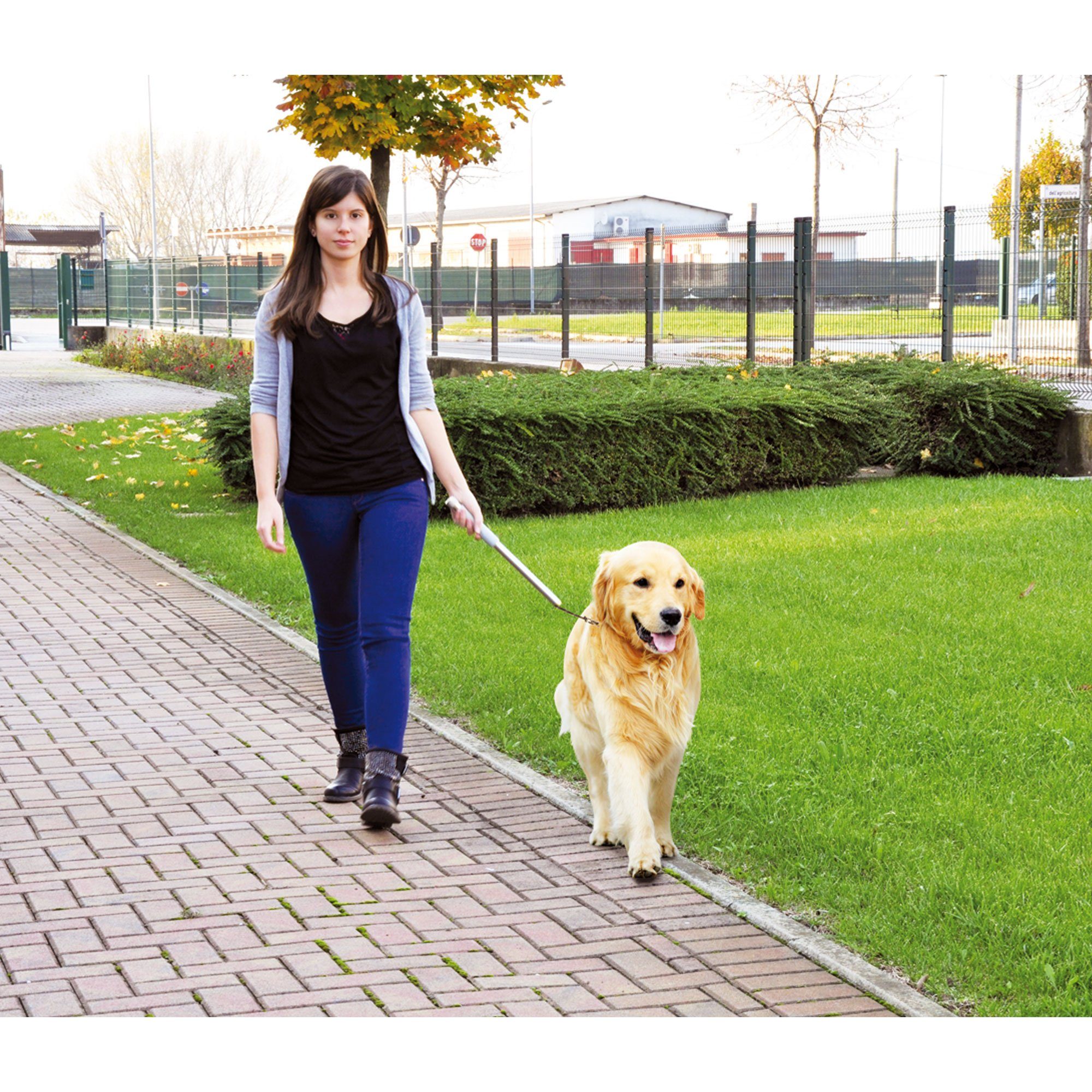 COMON Fahrradleine Walky Dog Plus - die 3. Hand am Fahrrad, Metall (1-tlg)