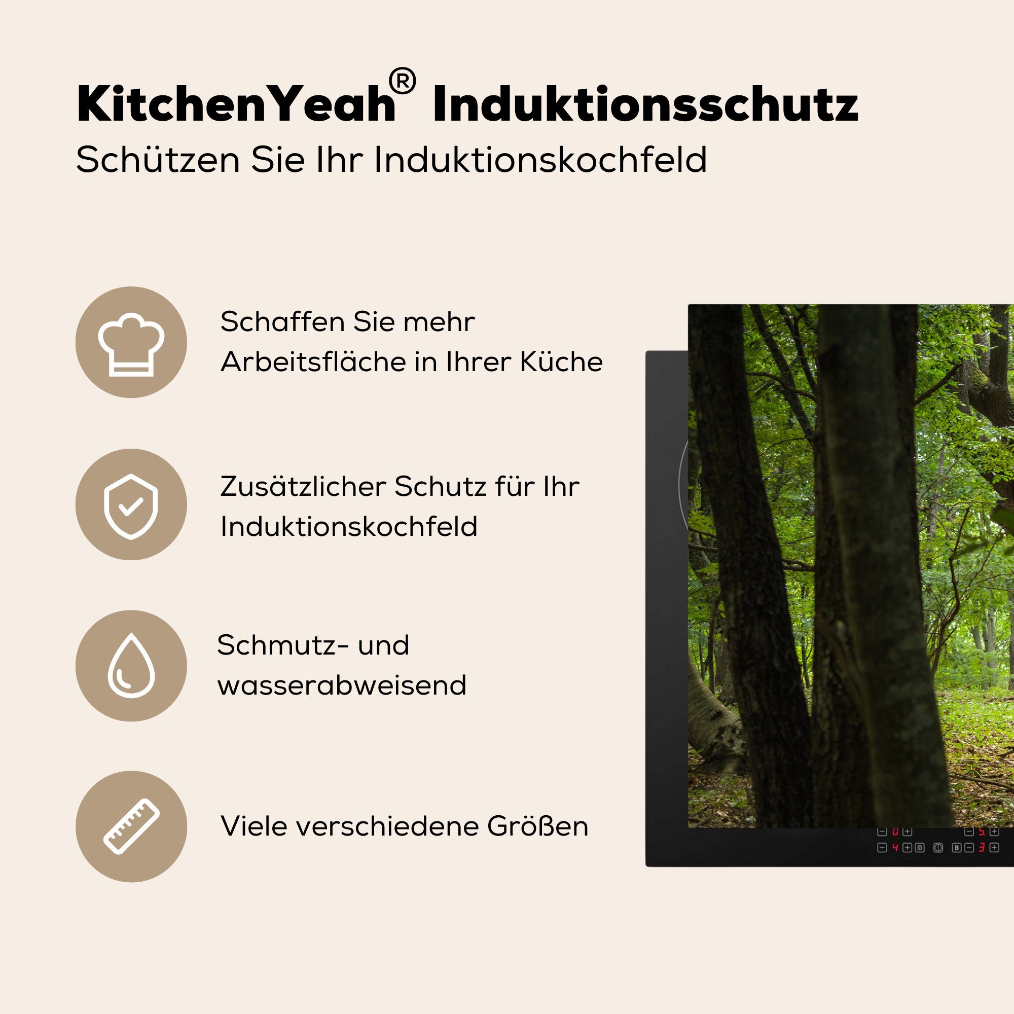 küche, tief MuchoWow einem Induktionskochfeld grünen Eine Herdblende-/Abdeckplatte für Ceranfeldabdeckung Schutz cm, (1 Vinyl, Wald, große tlg), in 81x52 die Eiche