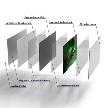 DEQORI Magnettafel 'Grüner Frosch im Laub', Whiteboard Pinnwand beschreibbar