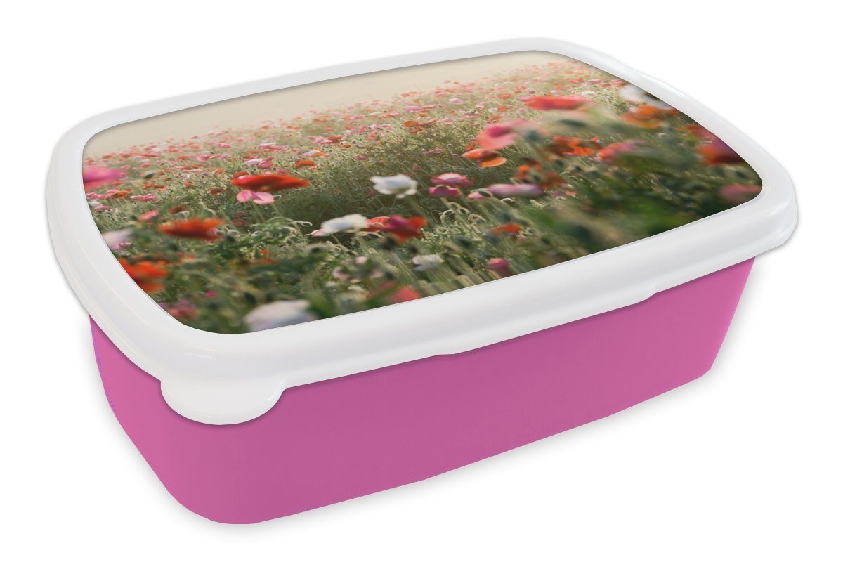 MuchoWow Lunchbox Mohn - Farben - Pastell, Kunststoff, (2-tlg), Brotbox für Erwachsene, Brotdose Kinder, Snackbox, Mädchen, Kunststoff rosa