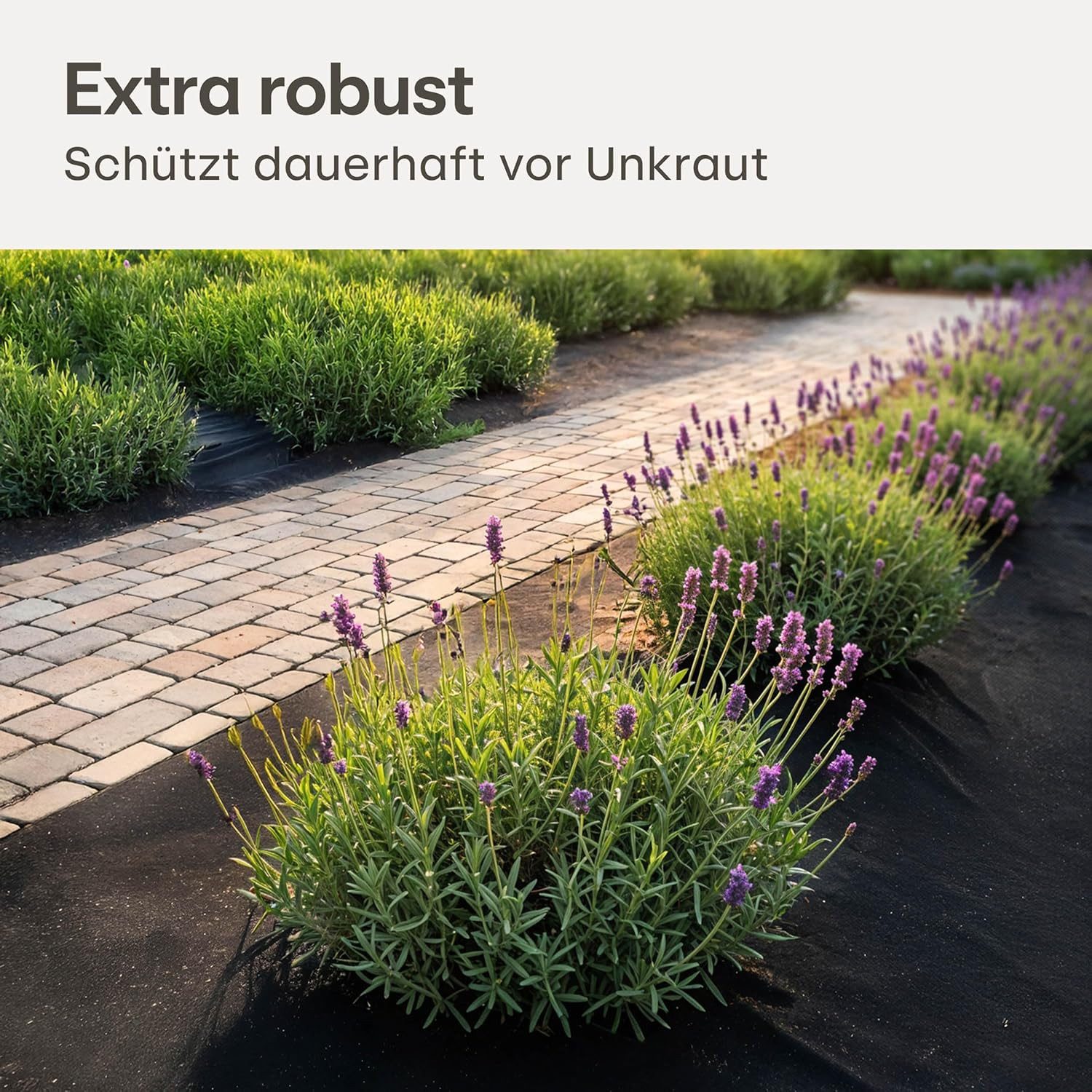 Praknu Gartenvlies Unkrautvlies 100g/m² 10m² (2x5m) - 8 Erdanker UV-Stabil & Reißfest, (10m² Set, 1-St., 100g/m² Unkrautvlies 10m² mit 8 Erdankern wasserdurchlässig), Wasserdurchlässig, UV-Stabil, Reißfest, Chemiefrei, Nachhaltig