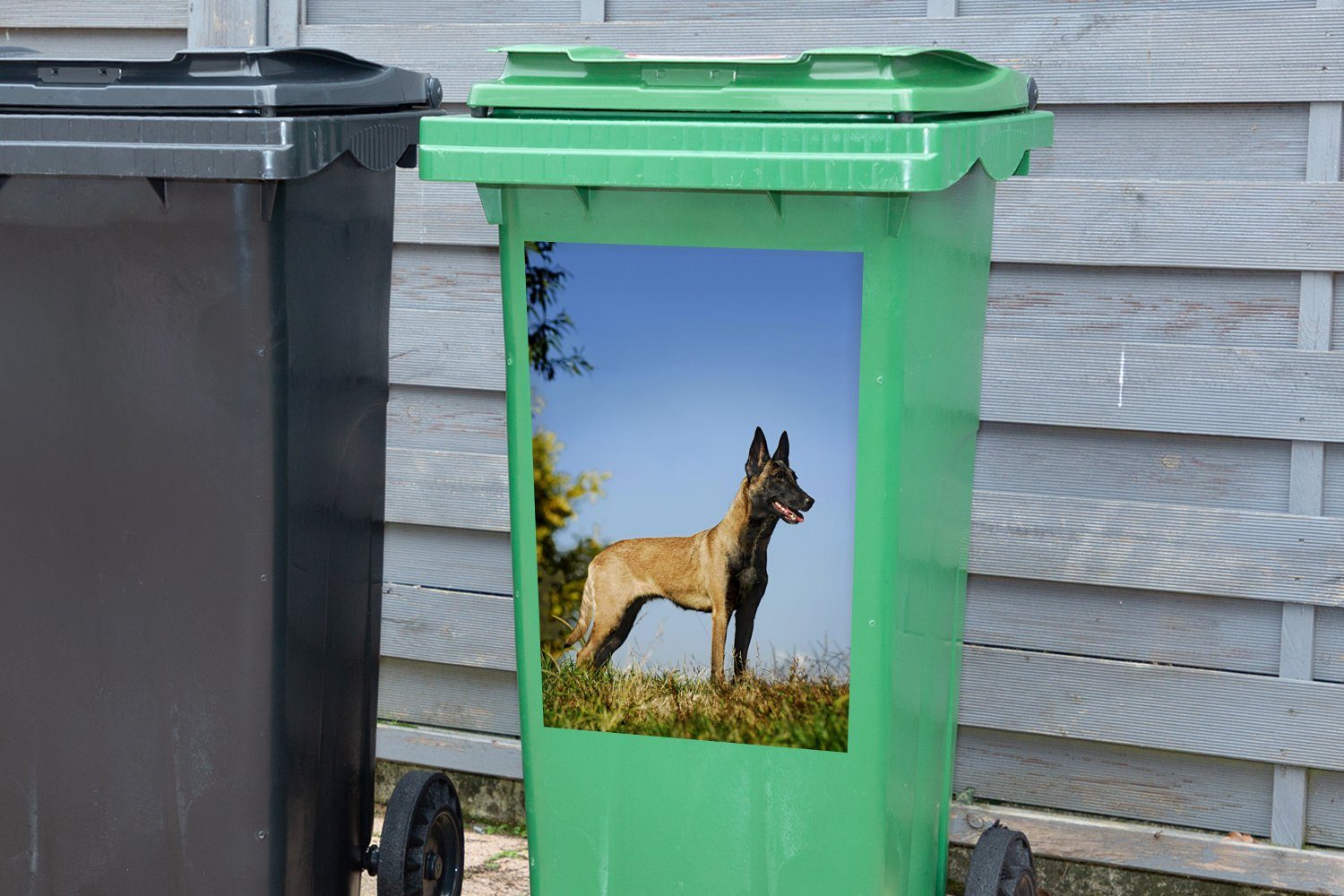 Abfalbehälter Malinois-Schäferhund (1 St), über MuchoWow Container, Blauer dem Wandsticker Mülltonne, Sticker, Himmel Mülleimer-aufkleber,