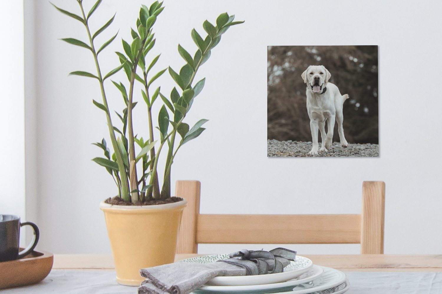 OneMillionCanvasses® Leinwandbild Ein weißer St), (1 Wohnzimmer Retriever Labrador Schlafzimmer auf für Bilder den Leinwand Steinen