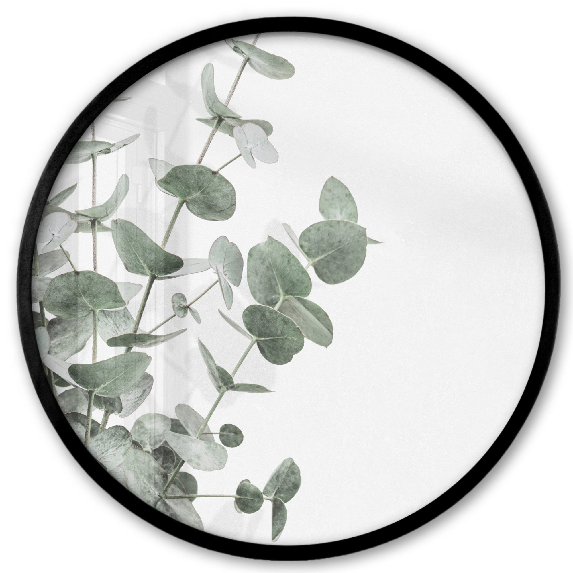 MuchoWow Poster Rund - Eukalyptus - Blätter - Natur - Grün, (1 St), Runde Wandbilder, Deko für Wohnzimmer und Schlafzimmer, 40x40 cm