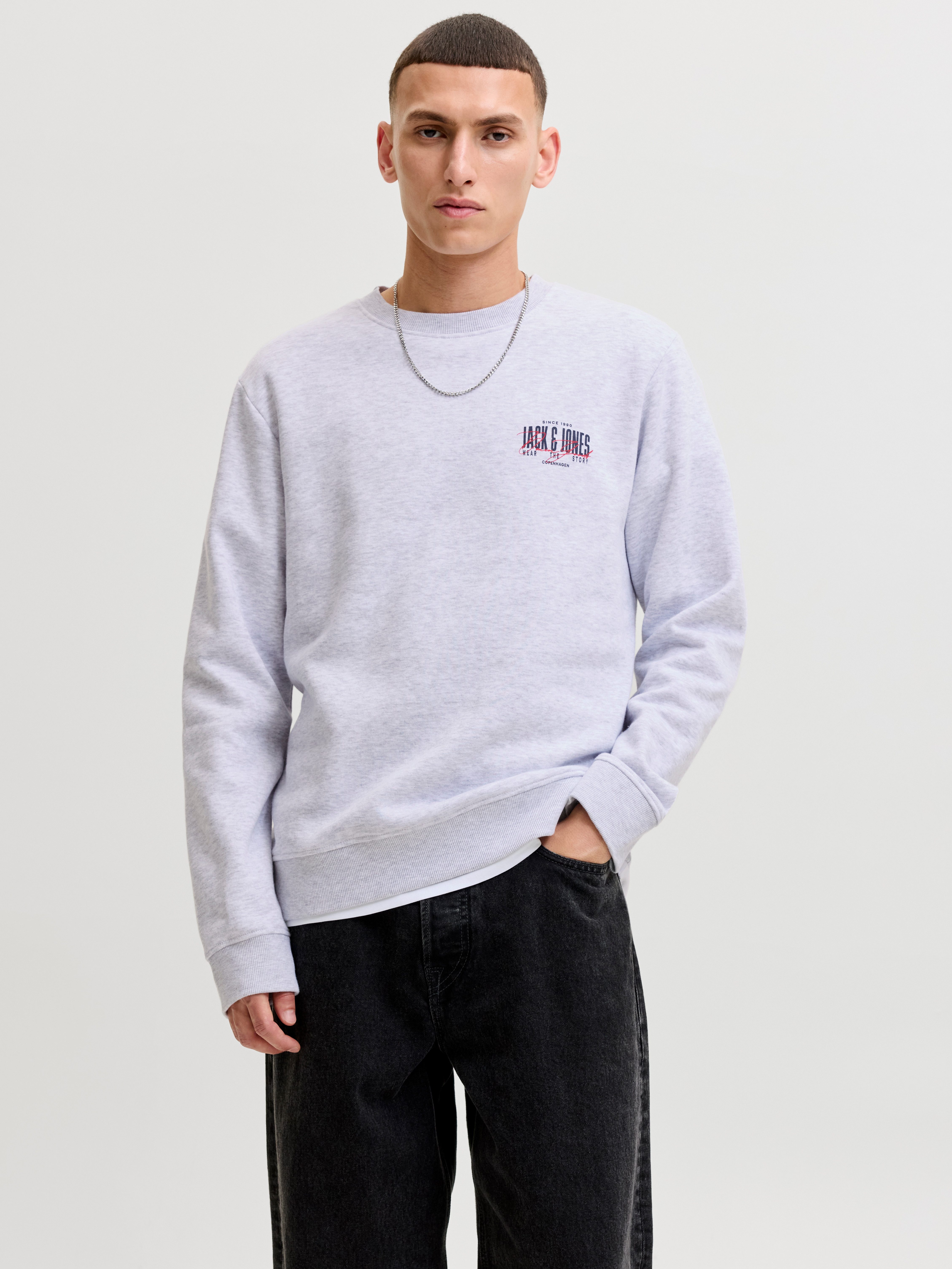 Jack & Jones Sweatshirt JJAERO SWEAT CREW NECK Materialmix, regular fit