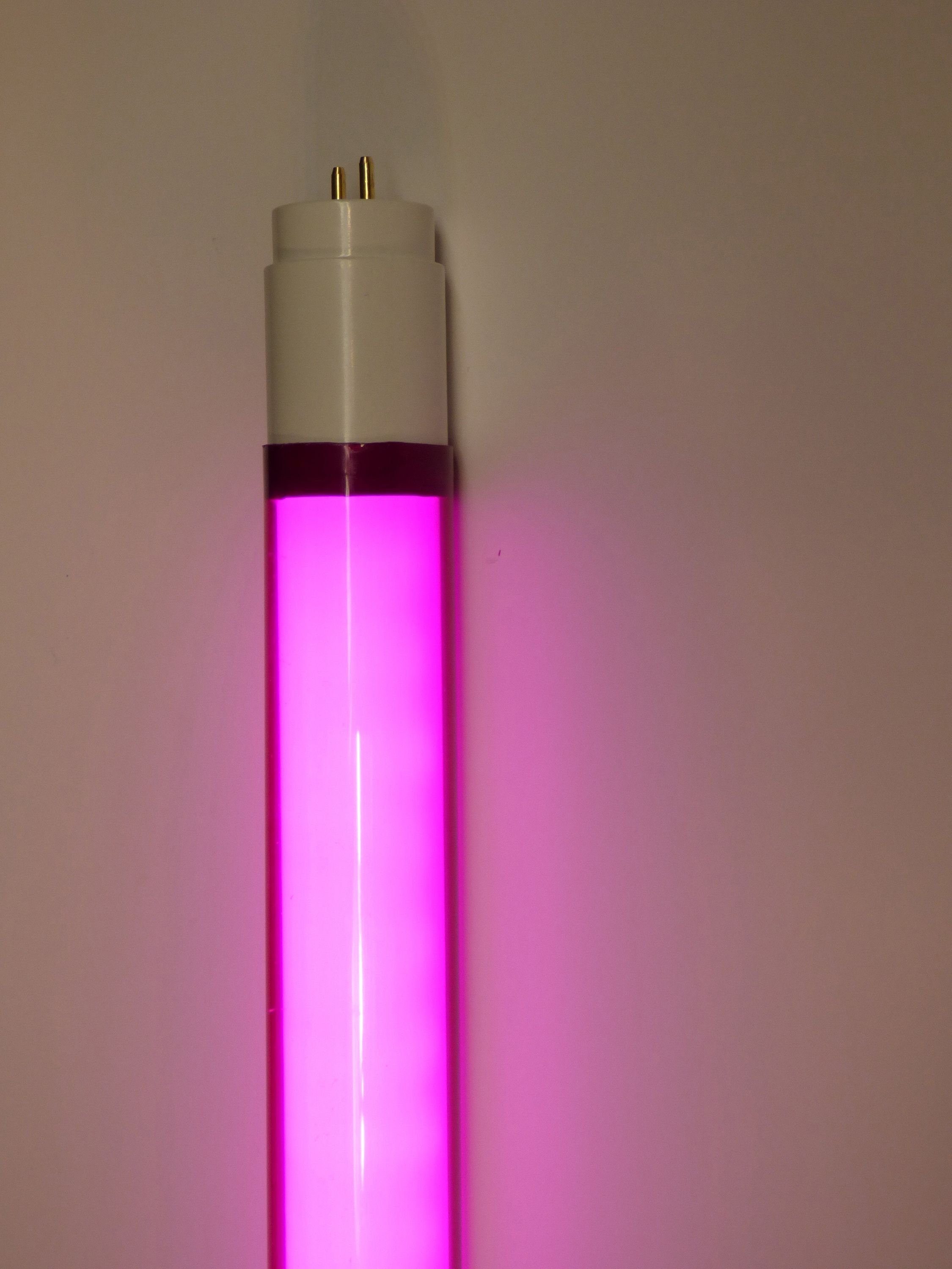 XENON LED Wandleuchte LED Röhre T8 18 Watt 2000 Lumen 1,20m Kunststoff-Röhre Pink, LED Röhre T8, Xenon