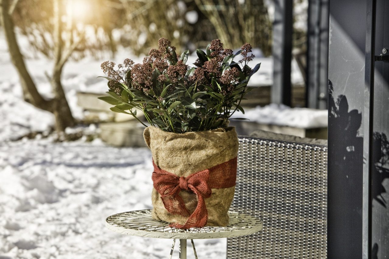 Windhager Wintervlies Windhager Winterschutz für Pflanzen Jute 0,5 x 4 m