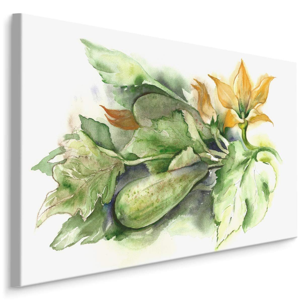Muralo Leinwandbild Natur – Leinwandbild Wandbild Kunstdruck Wohnzimmer, Blumen (1 St), Essen – Gemüse – Zucchini, 70 x 50 cm, aufhängefertig