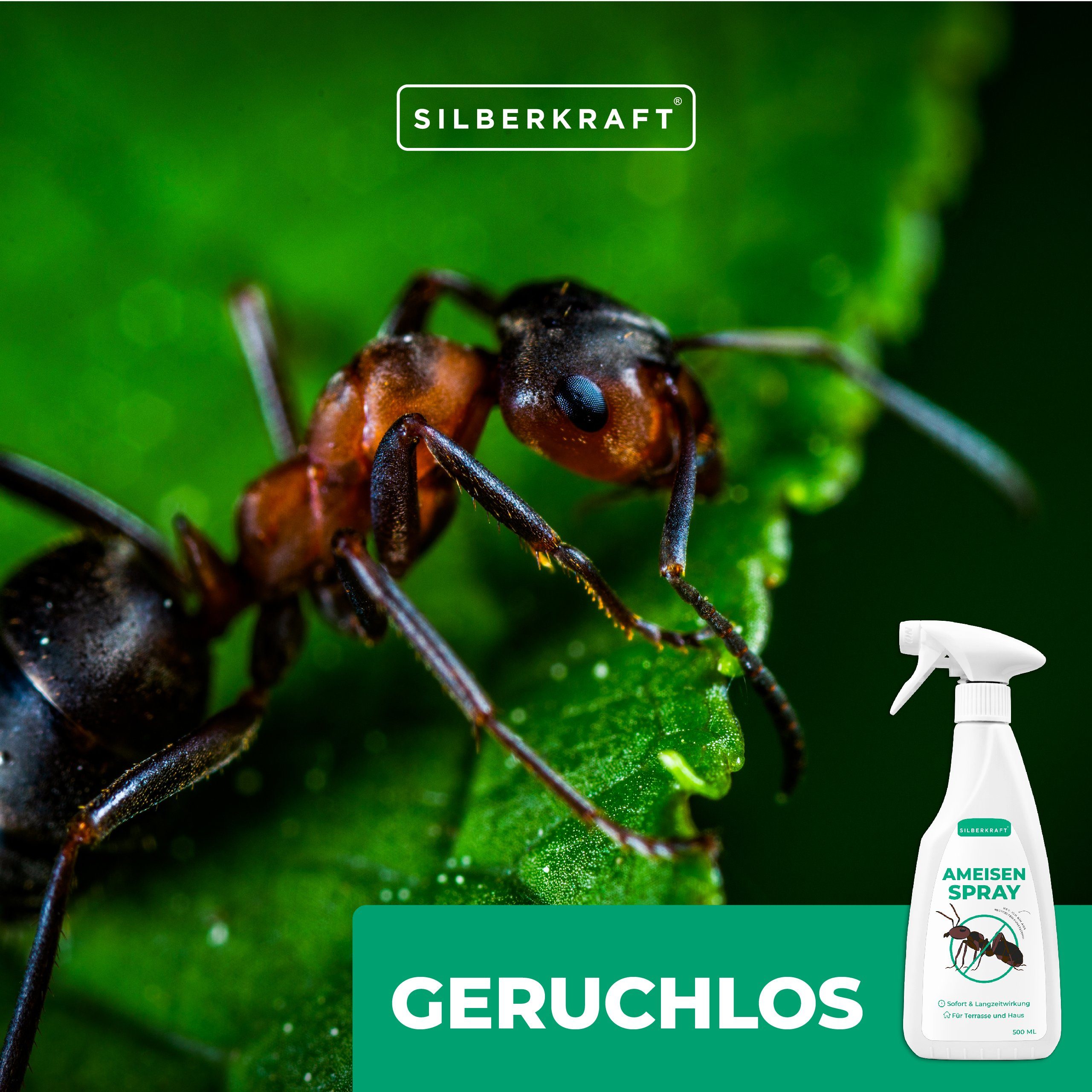 Anti ml, Ameisenspray, Insektenspray 500 Silberkraft 1-St. Ameisen Spray -