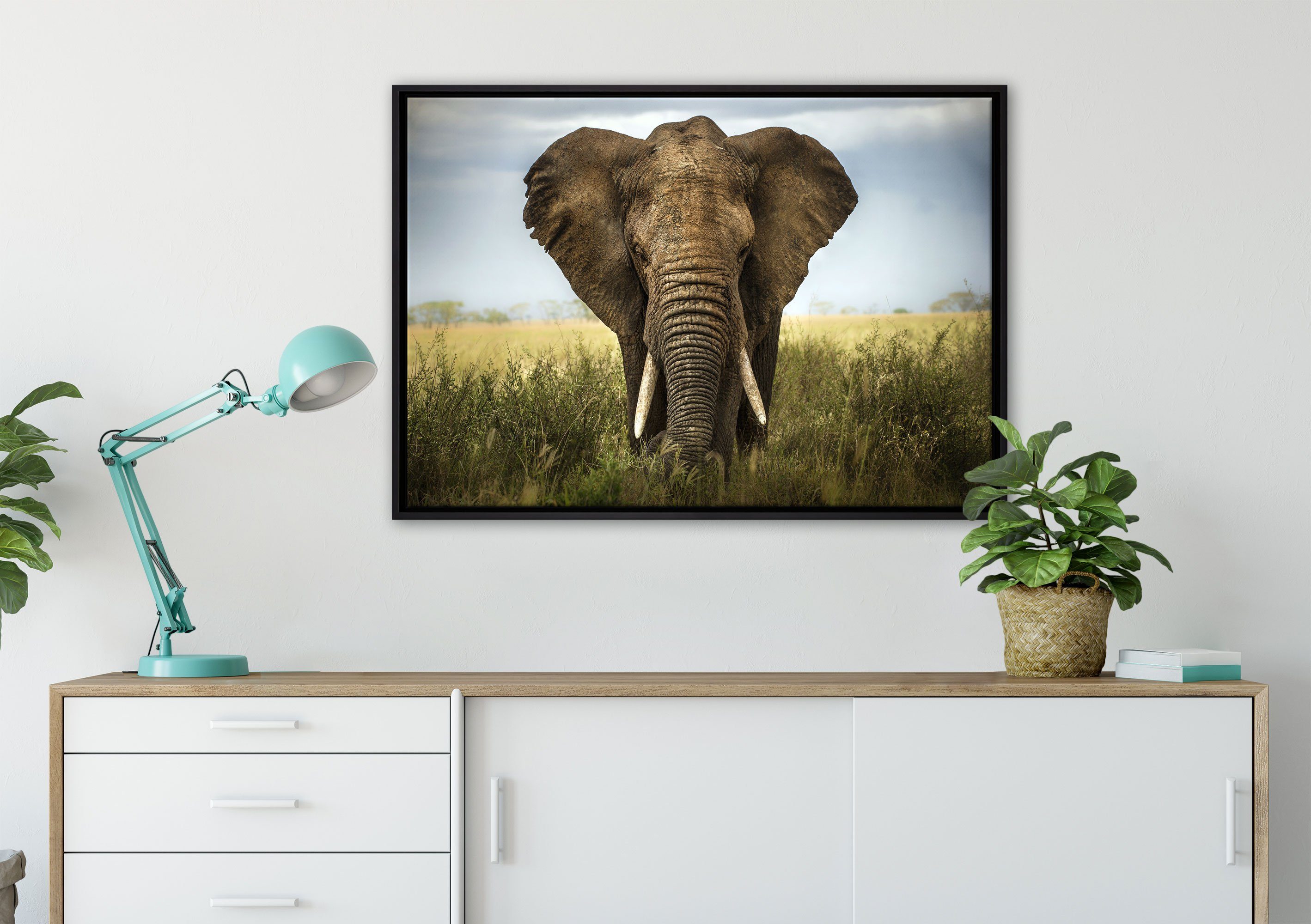 einem gefasst, Wanddekoration Leinwandbild Schattenfugen-Bilderrahmen Elefant, Zackenaufhänger Pixxprint in Leinwandbild Imposanter (1 St), bespannt, inkl. fertig