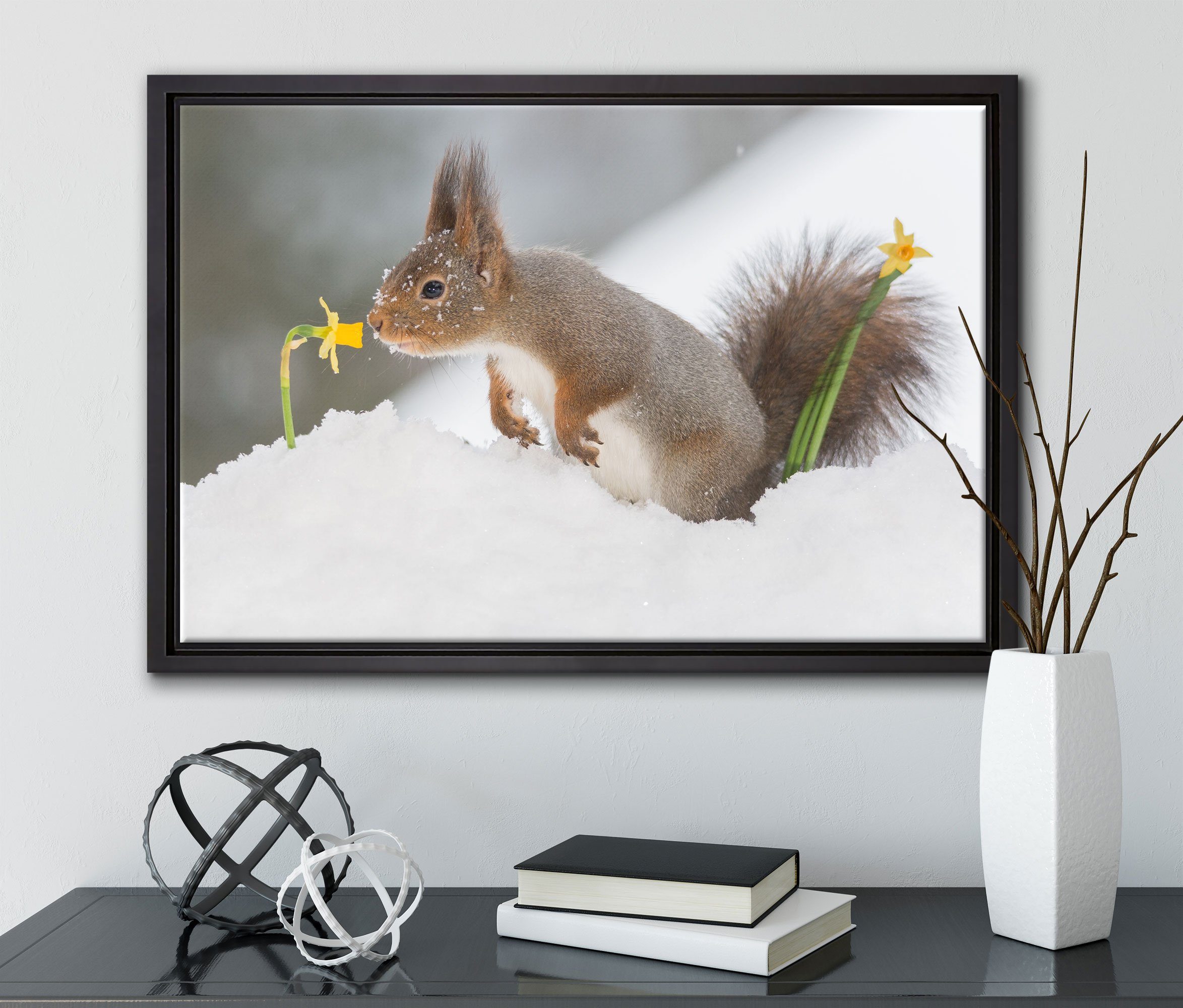 Pixxprint Leinwandbild in bespannt, Schnee, Wanddekoration gefasst, im fertig Schattenfugen-Bilderrahmen einem Leinwandbild (1 Eichhörnchen inkl. Zackenaufhänger St)