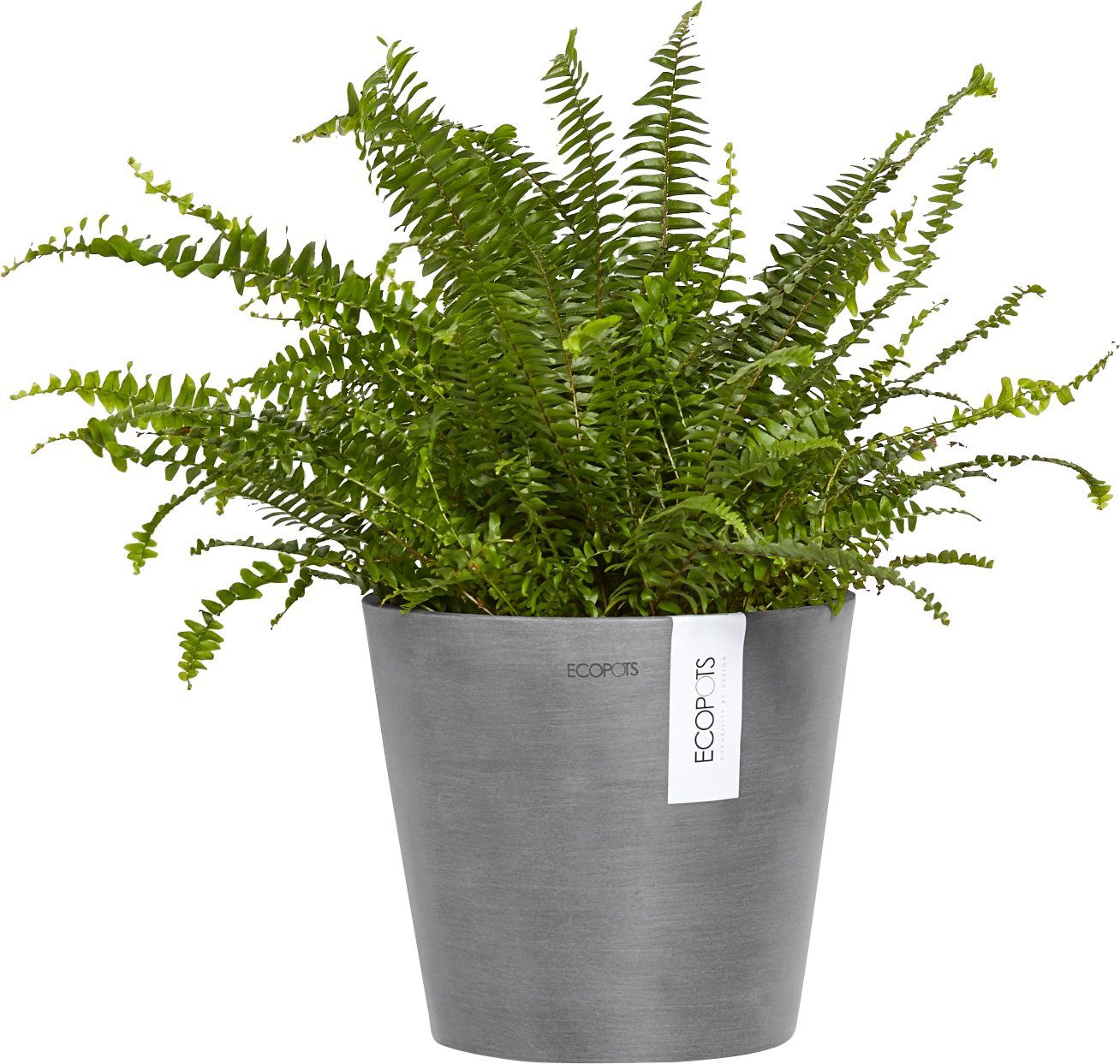 ECOPOTS BxTxH: cm Grey, AMSTERDAM Blumentopf WALL 21,8x21,8x17,5