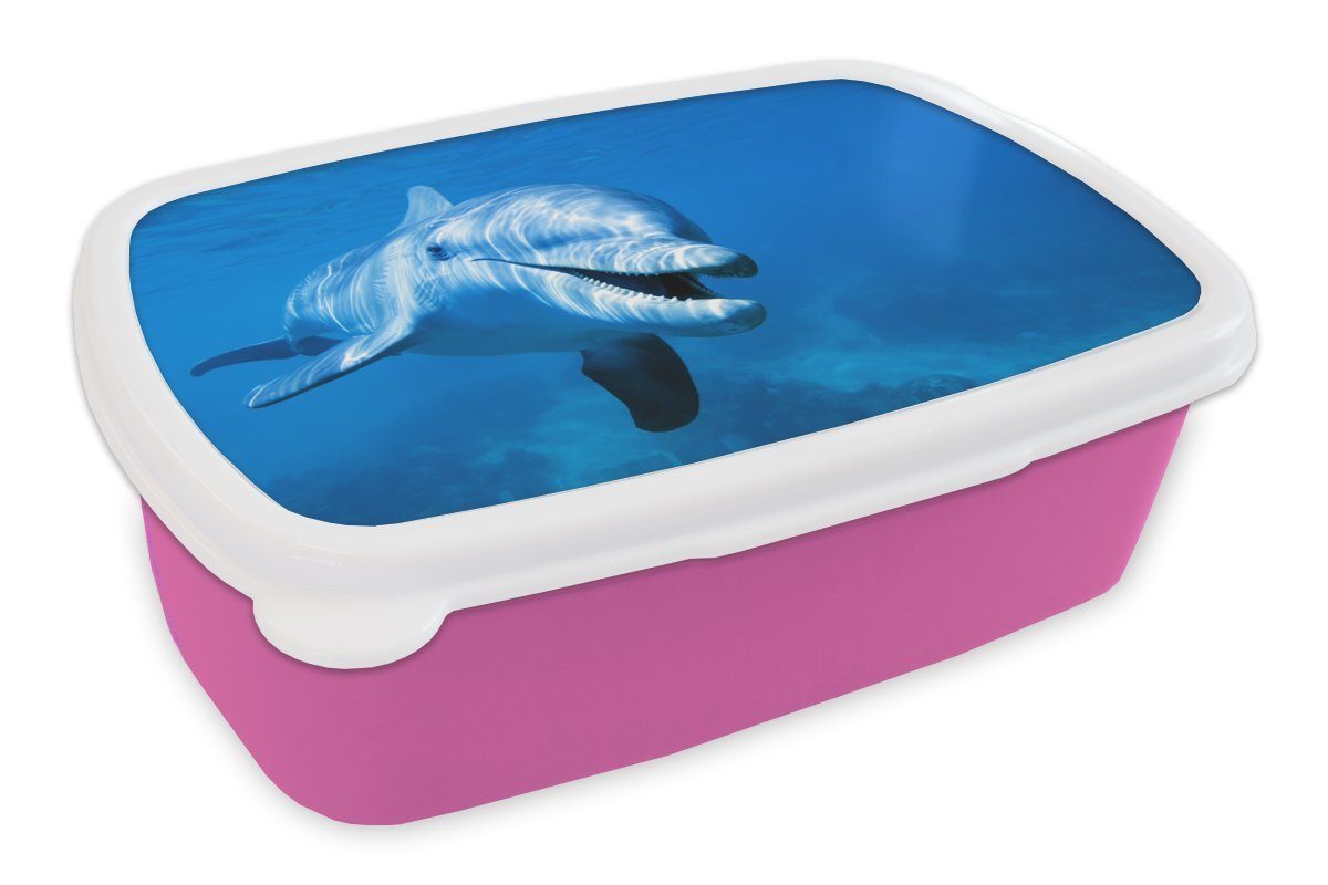 MuchoWow Lunchbox Delfin - Brotbox Erwachsene, Kunststoff, Meer, - Wasser (2-tlg), für Brotdose Kinder, Kunststoff Mädchen, Snackbox, rosa