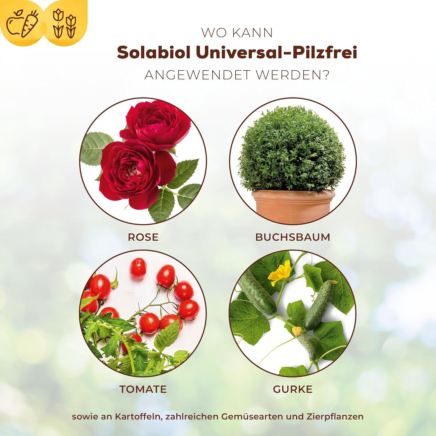 Solabiol Pflanzen-Pilzfrei Solabiol Universal-Pilzfrei 15 ml wirksam gegen viele Pilzkrankheiten
