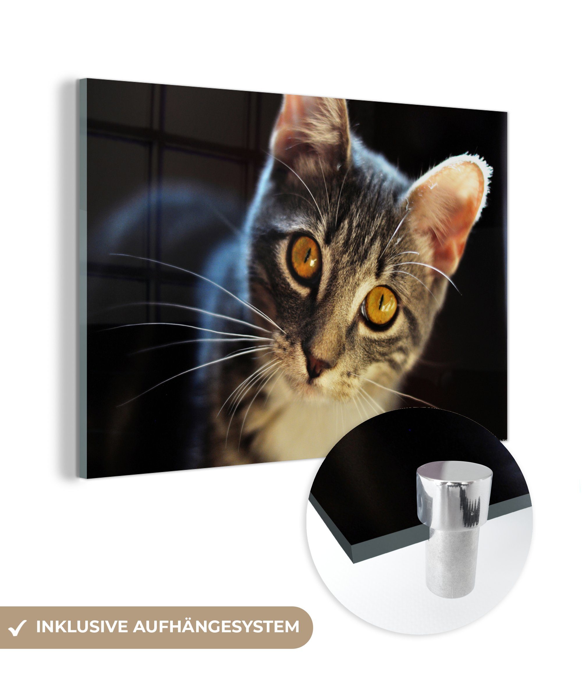 MuchoWow Acrylglasbild Katzen - Tiere - Augen - Grau, (1 St), Acrylglasbilder Wohnzimmer & Schlafzimmer | Bilder