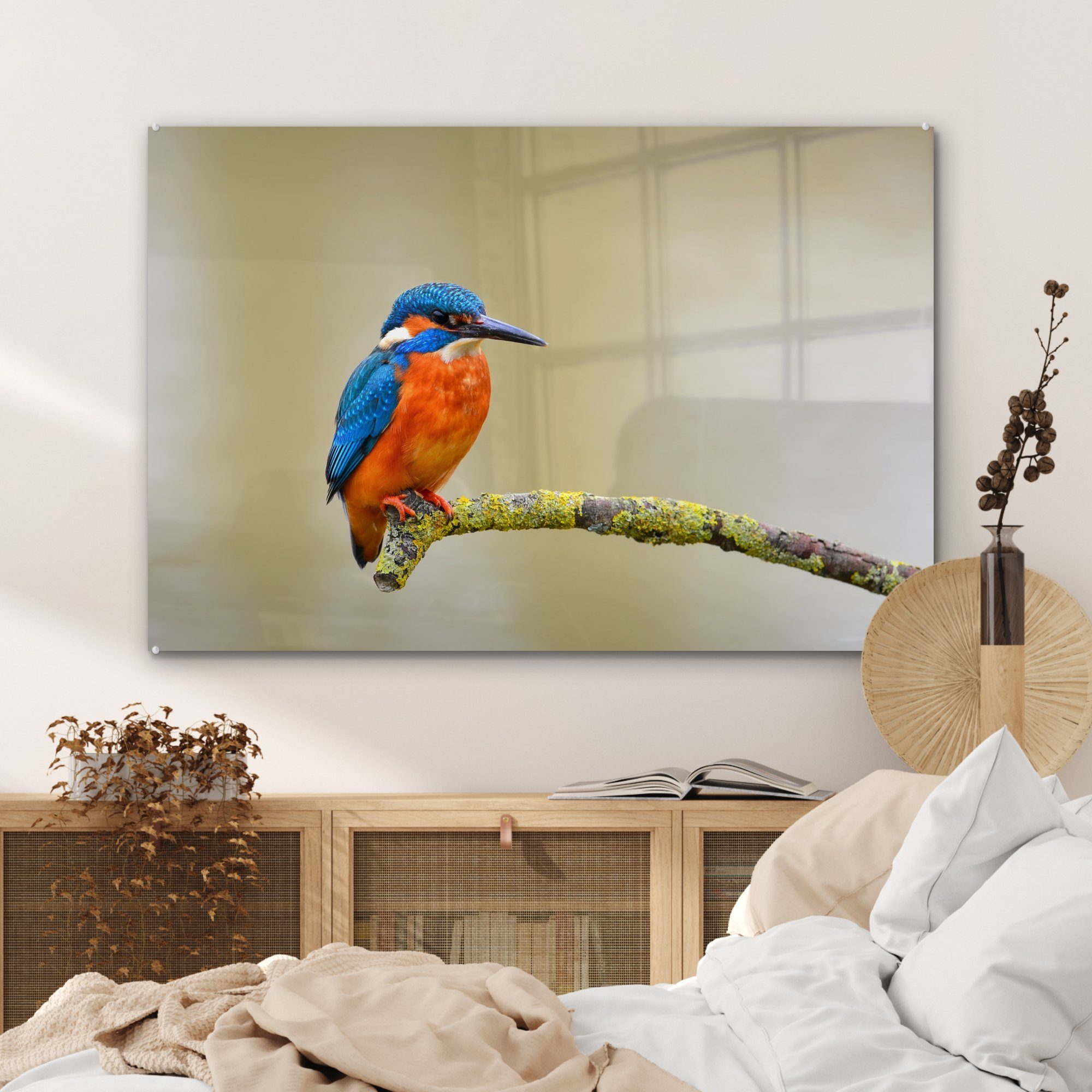 & Schlafzimmer Eisvogel MuchoWow Vogel St), Wohnzimmer (1 Acrylglasbild - Acrylglasbilder - Zweig,