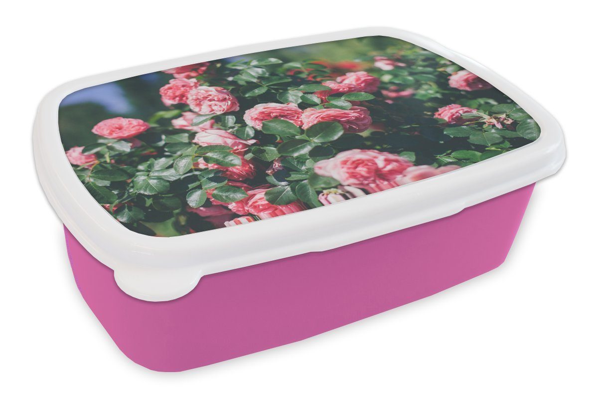 MuchoWow Lunchbox Schöne rosa Rose im Sommergarten, Kunststoff, (2-tlg), Brotbox für Erwachsene, Brotdose Kinder, Snackbox, Mädchen, Kunststoff