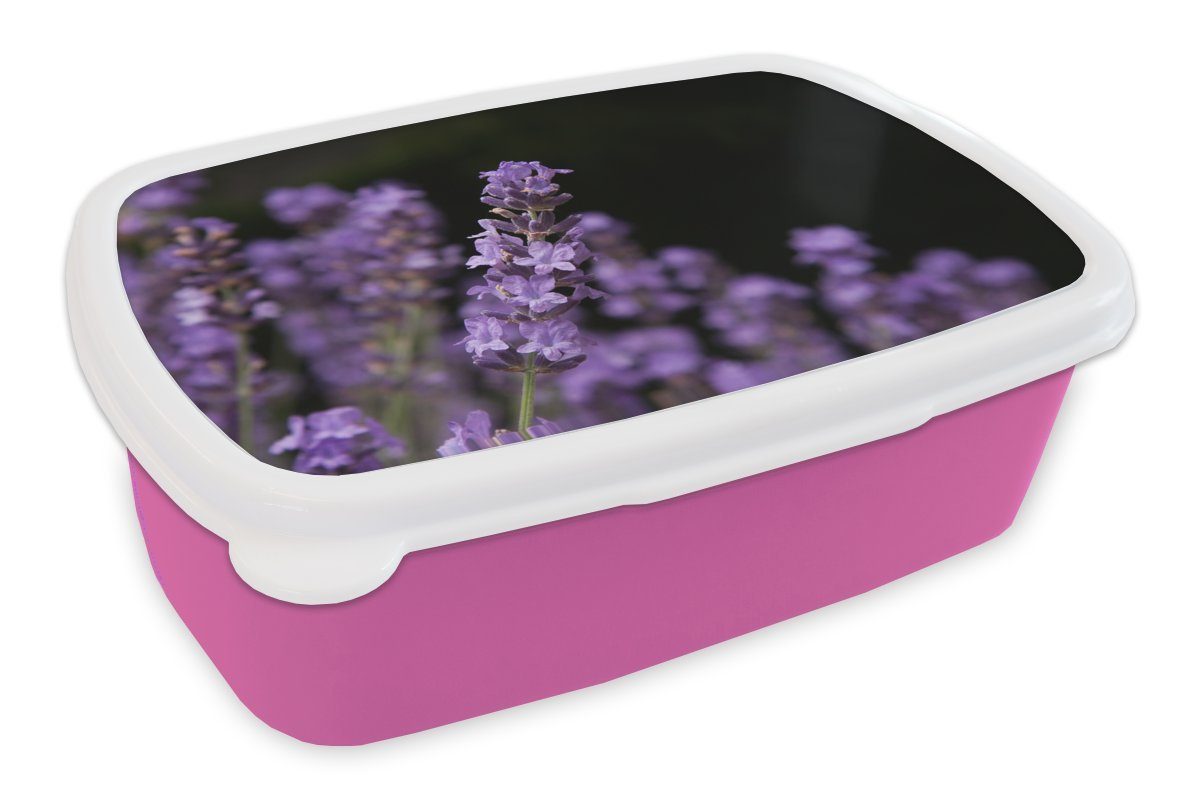 MuchoWow Lunchbox Nahaufnahme von lila Lavendel auf schwarzem Hintergrund, Kunststoff, (2-tlg), Brotbox für Erwachsene, Brotdose Kinder, Snackbox, Mädchen, Kunststoff rosa