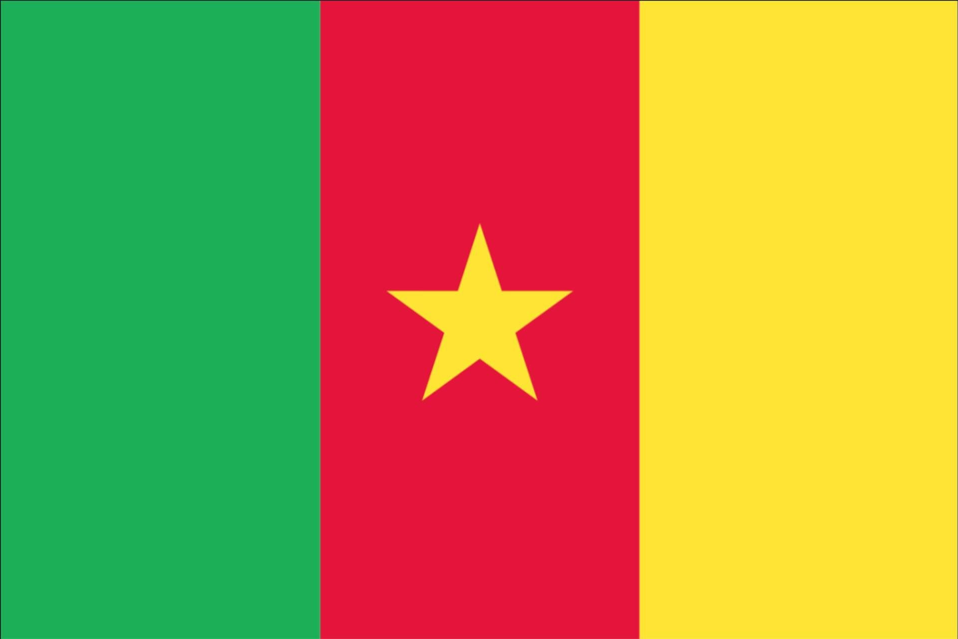 flaggenmeer Flagge Flagge 110 Querformat g/m² Kamerun
