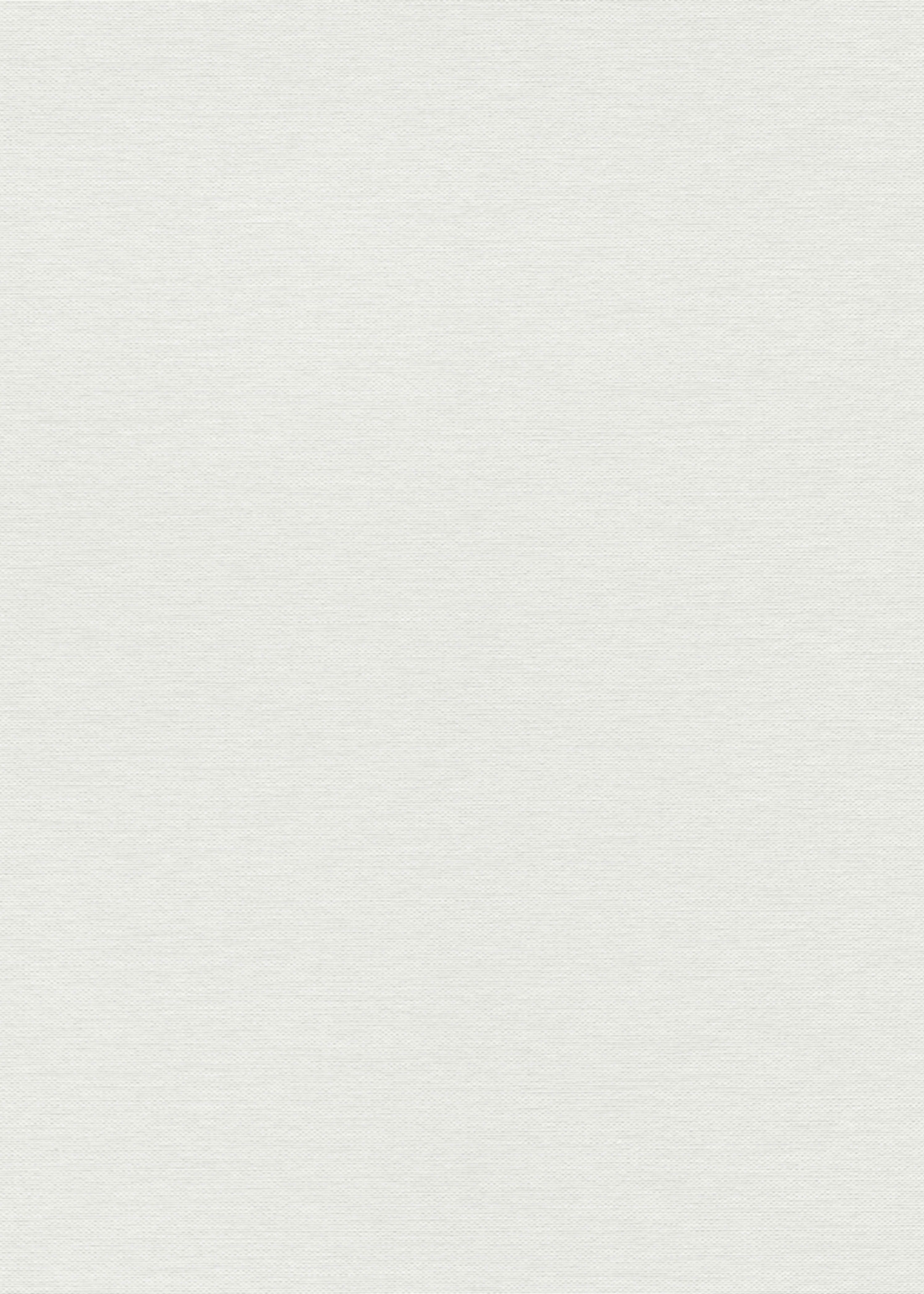 Erismann Vliestapete Unistapete Leinenstruktur hellgrau Erismann 1054101