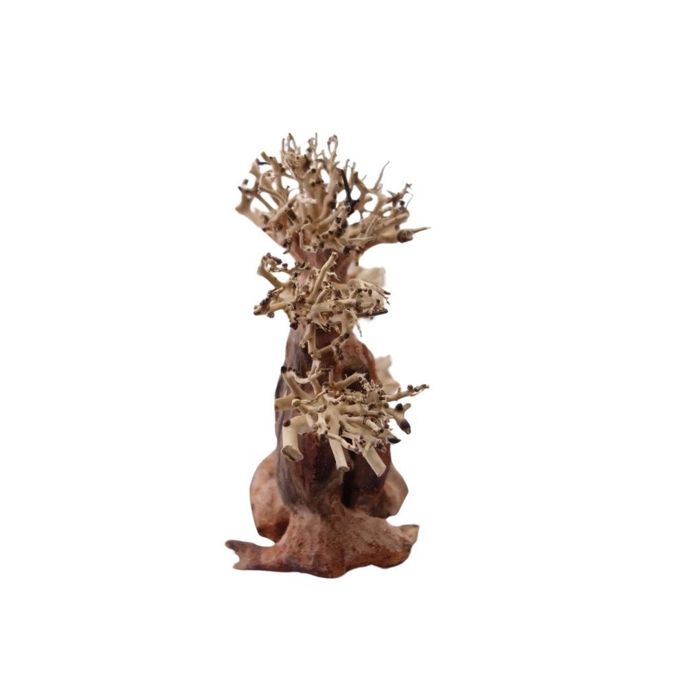 Thumbnail - Aquaone Aquarium M Bonsai Baum Nr.1028 Wurzel Holz Aquarium Deko Aquascaping