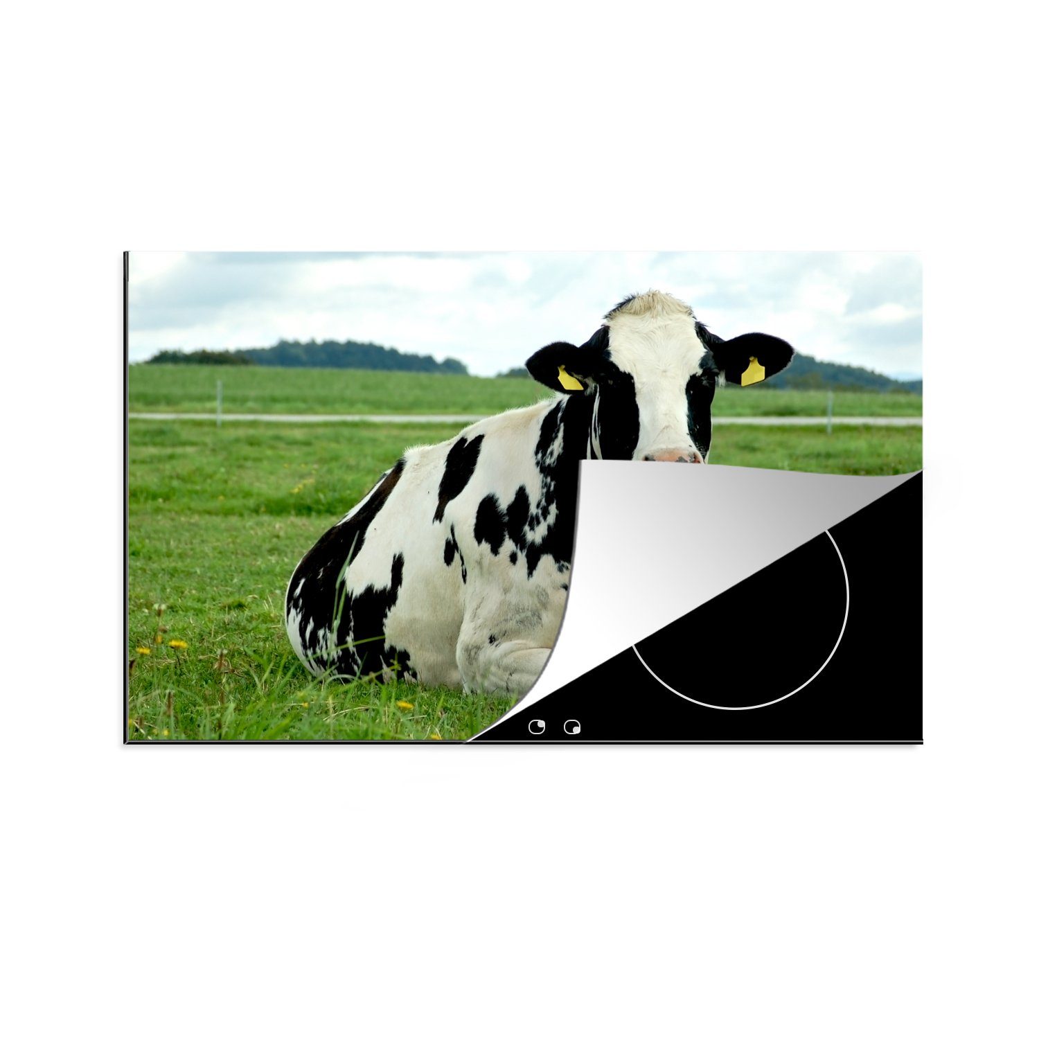 (1 Friesland 81x52 Ceranfeldabdeckung die cm, für - Schutz Vinyl, - Kuh Tier, Herdblende-/Abdeckplatte Induktionskochfeld MuchoWow tlg), küche,