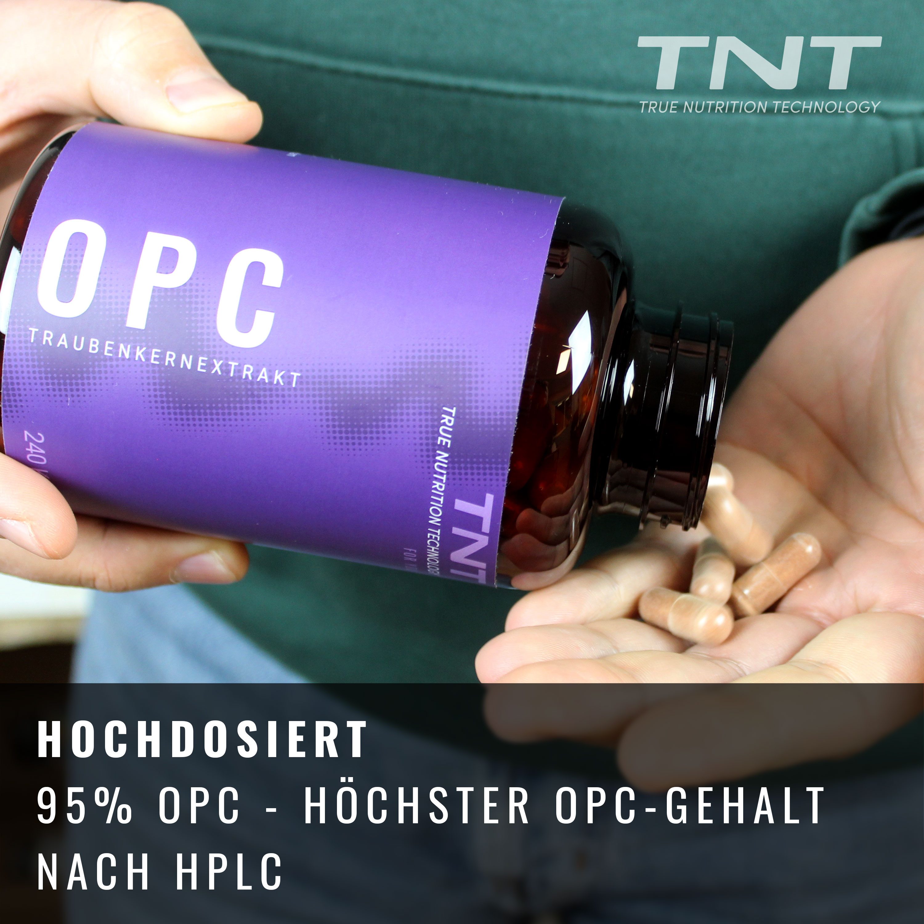 TNT (True Nutrition Technology) TNT OPC (Traubenkernextrakt mit 95% OPC-Anteil) Kapseln, 240,00 St., 177 g