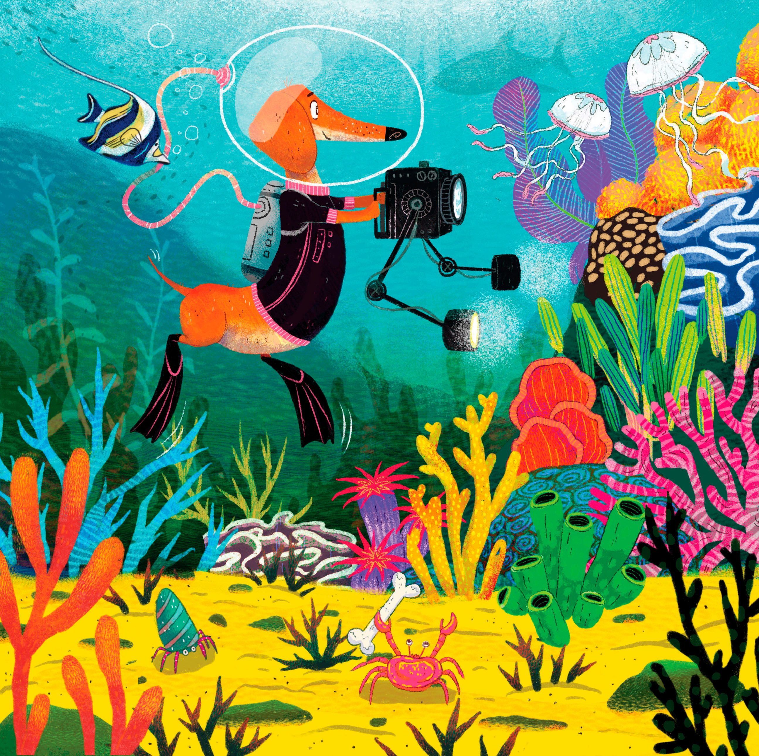 Ravensburger Puzzle 3x49, Tierwissenschaftler, 147 Puzzleteile, Made in Eur günstig online kaufen