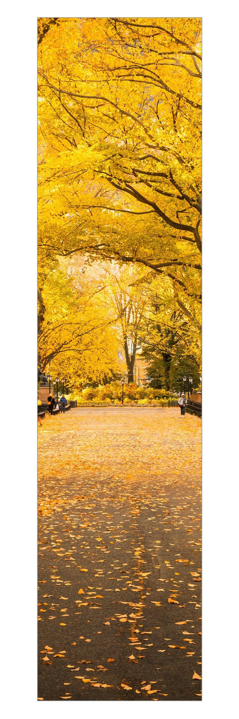 Bilderdepot24 Schiebegardine modern Flächenvorhang blickdicht Herbst im Central Park (1 St), halbtransparent, Wohnzimmer große Flächengardine lichtdurchlässig für Klemm-System