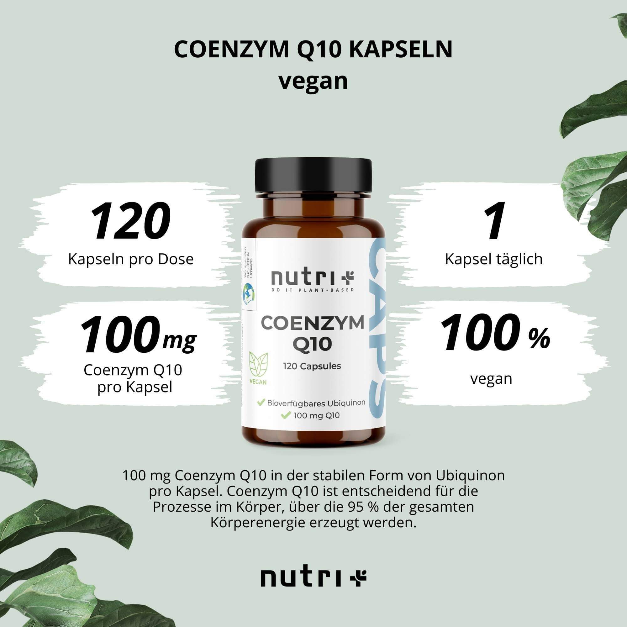 nutri+ Coenzym Q10 Kapseln 100 mg Ubichinon Kapseln