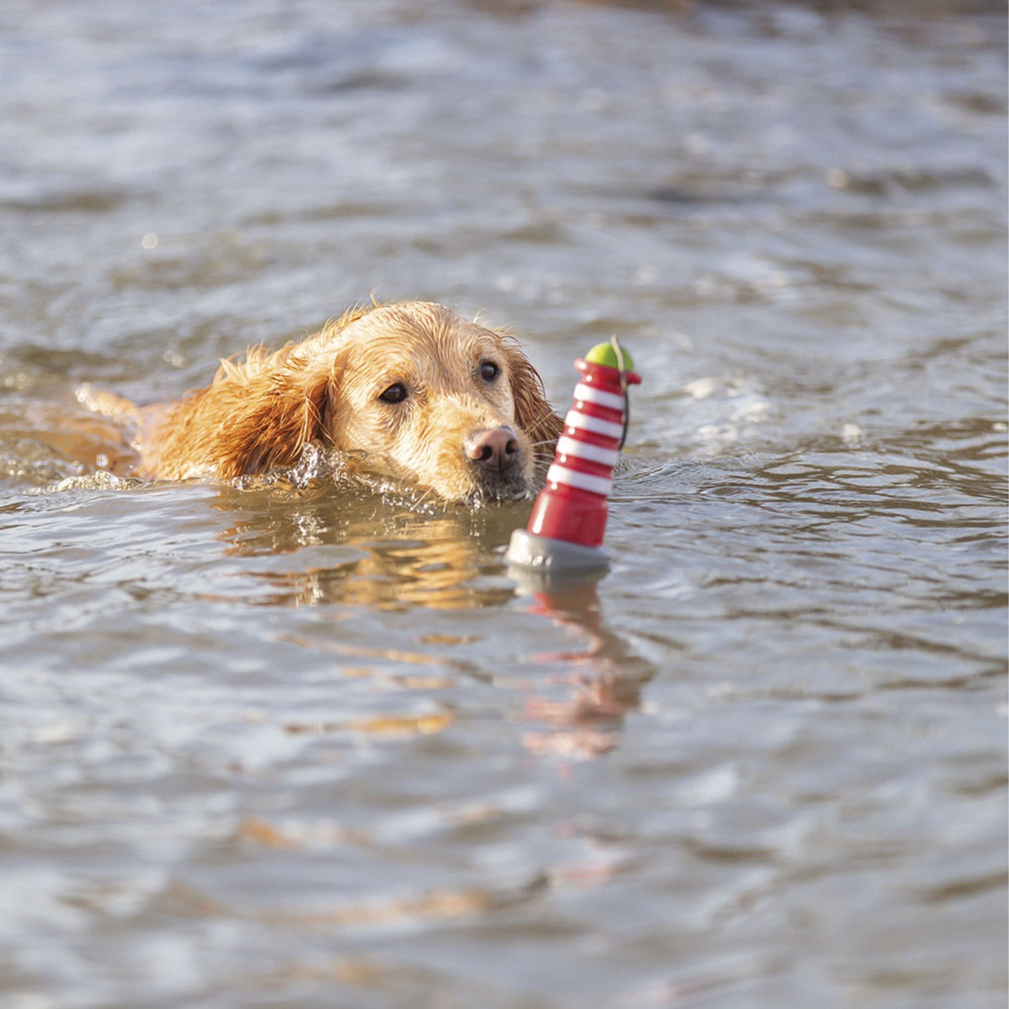 TRIXIE Wasserspielzeug Hundespielzeug Aqua Toy Leuchtturm günstig online kaufen