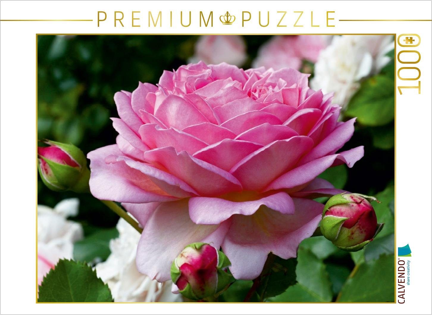 CALVENDO Puzzle CALVENDO Puzzle Englische Rosen im Garten 1000 Teile Lege-Größe 64 x 48 cm Foto-Puzzle Bild von Martina Cross, 1000 Puzzleteile