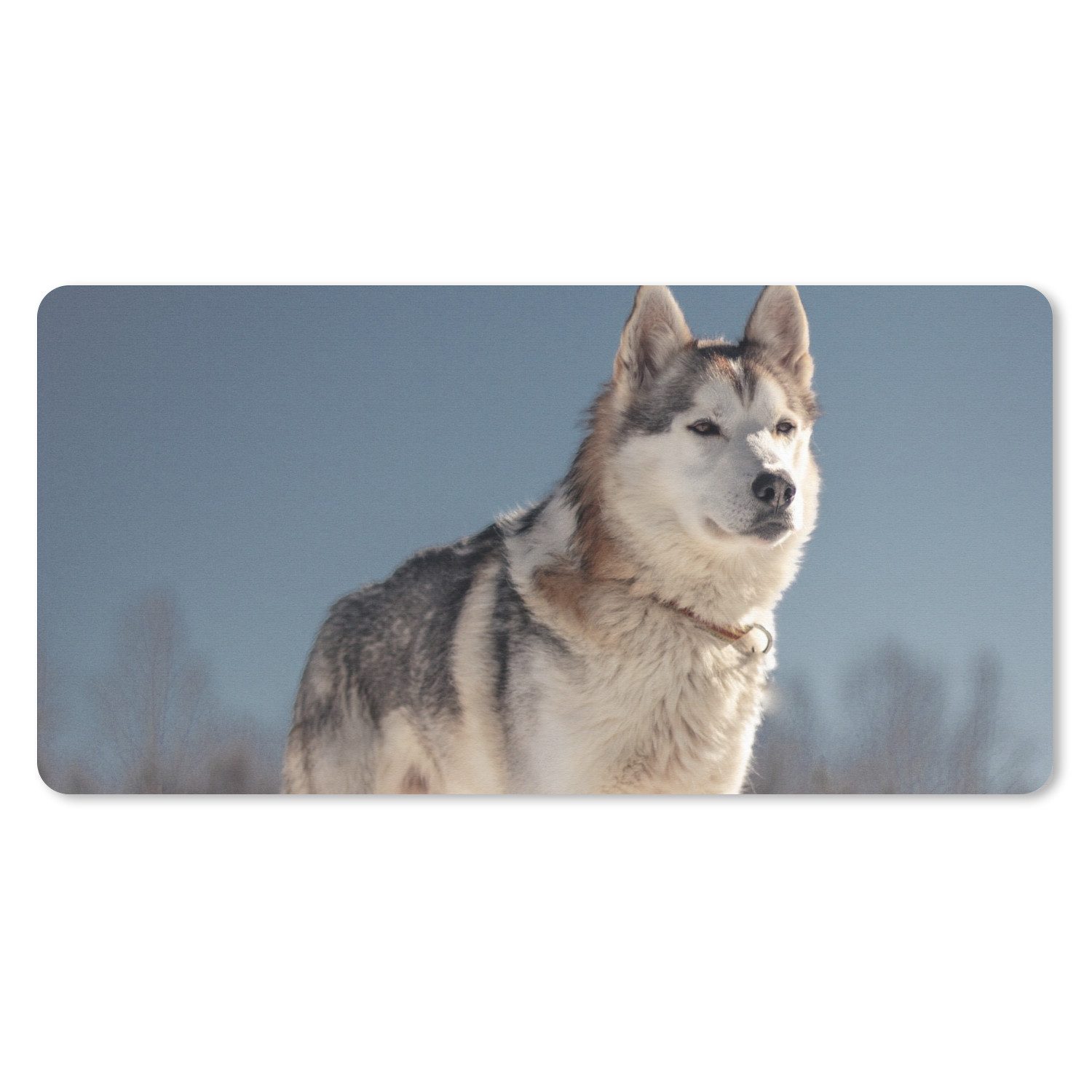 MuchoWow Mauspad Husky im Schnee (1-St), Mousepad mit Rutschfester Unterseite, Mausunterlage, Gaming, 60x30 cm