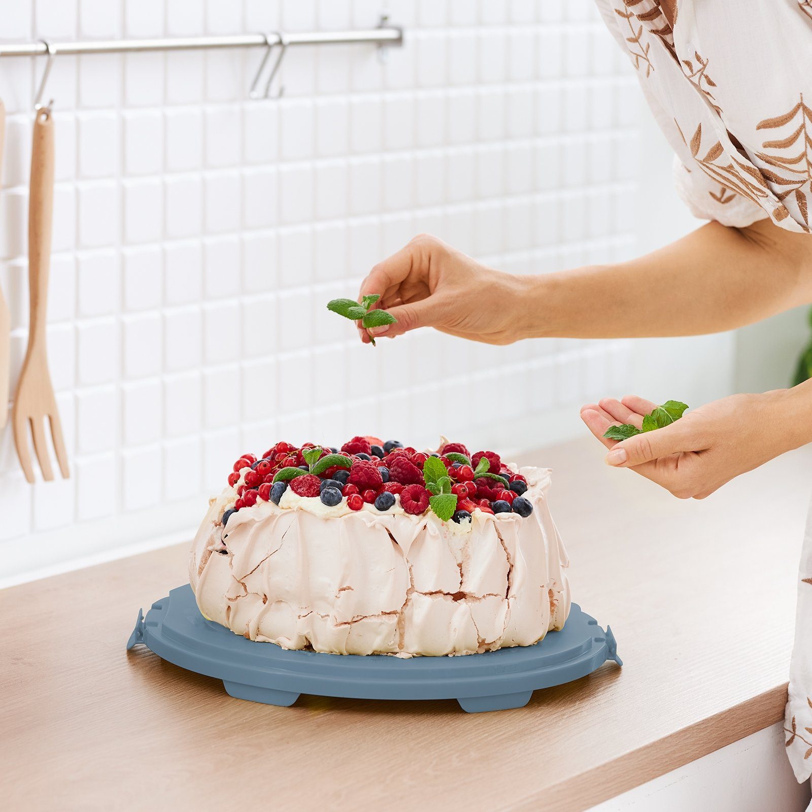 ROTHO Aufbewahrungssystem FRESH Kuchentransportbox XL, Kunststoff, Hergestellt in der Schweiz