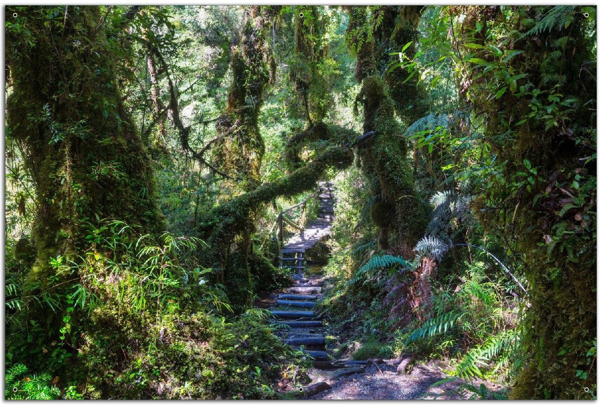 Wallario Sichtschutzzaunmatten Weg durch den Mooswald