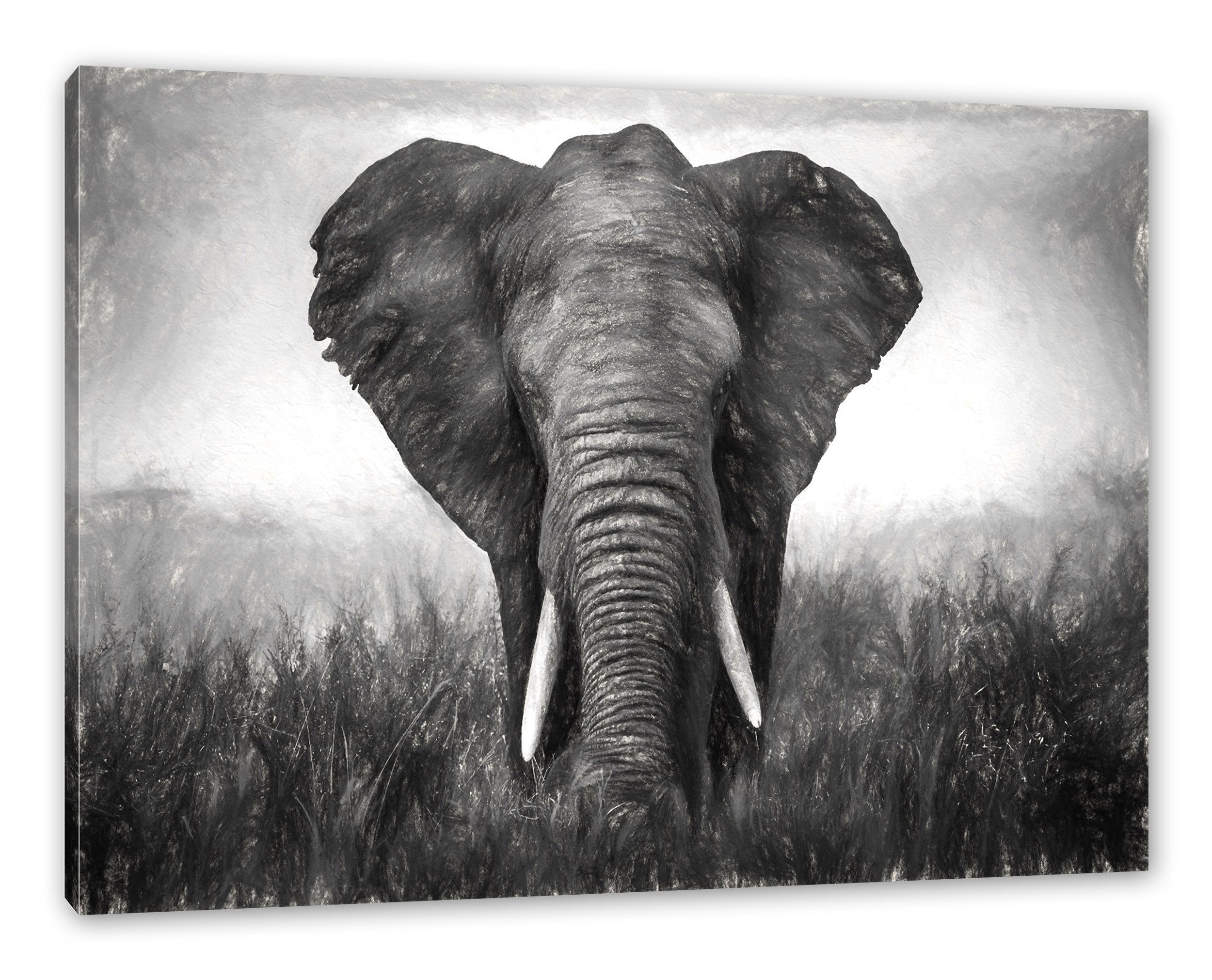 Pixxprint Leinwandbild prachtvoller Elefant, prachtvoller Elefant (1 St), Leinwandbild fertig bespannt, inkl. Zackenaufhänger