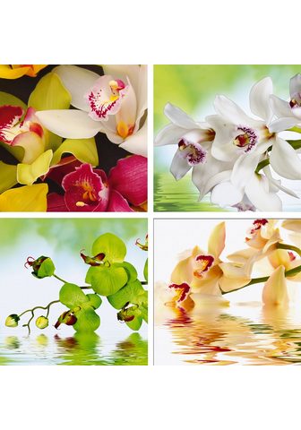 HOME AFFAIRE Картина »Meer von Orchideen&laqu...