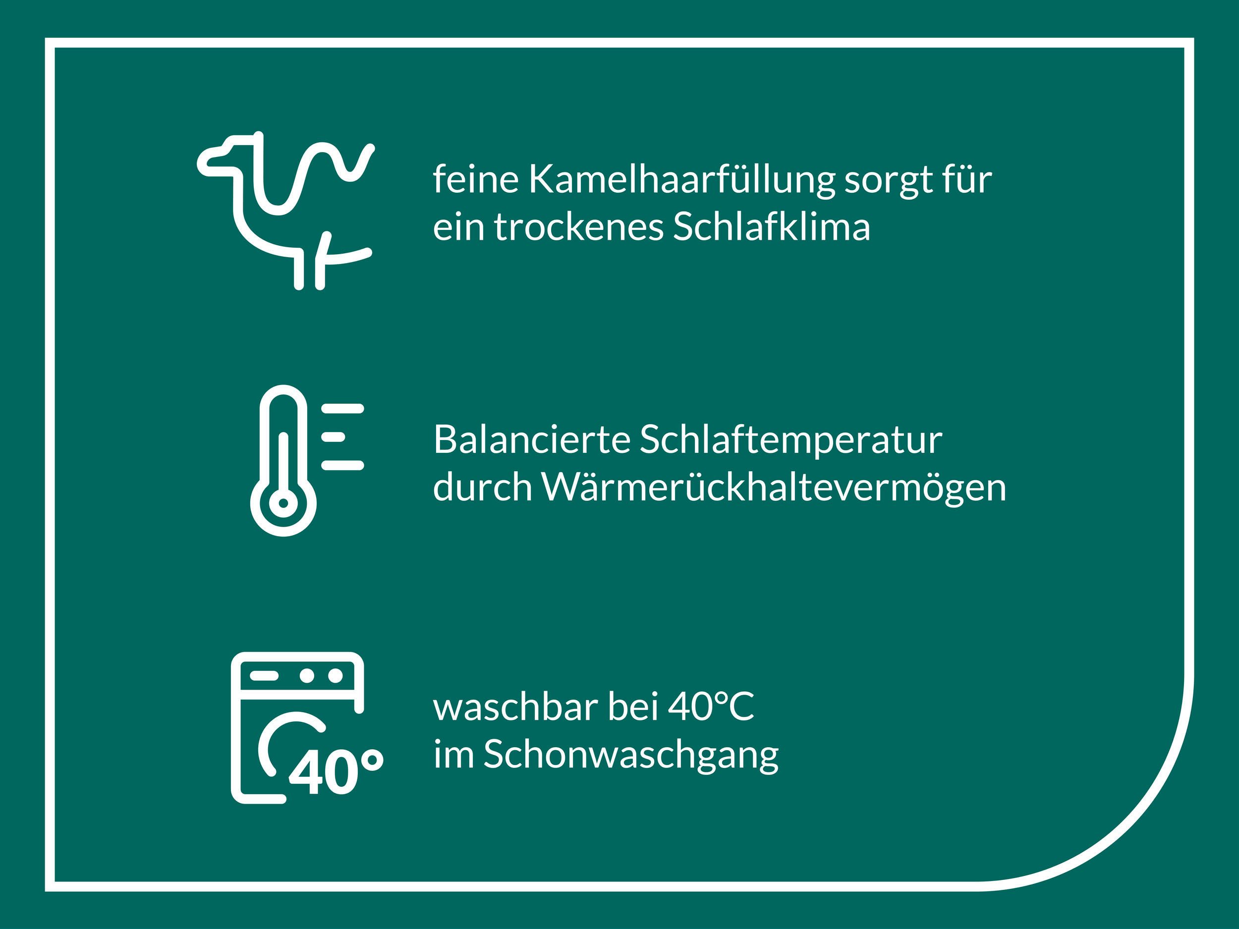 fan Naturhaarbettdecke Gobi, Bettdecken für Sommer und Winter, temperaturausgleichend, Füllung: Kamelhaar, Bezug: Baumwolle, Klimatisierende Kamelhaar-Füllung - Made in Germany