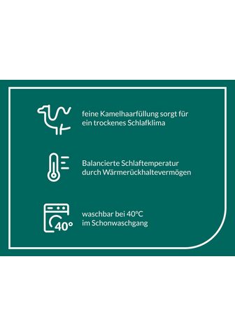 Fan antklodė Gobi Bettdecken dėl Sommer ir Winter Užklotas Füllung: Kamelhaar Bezug: medvilnė Klimatisierende Kamelhaar-Füllung - pagamintas in Germany