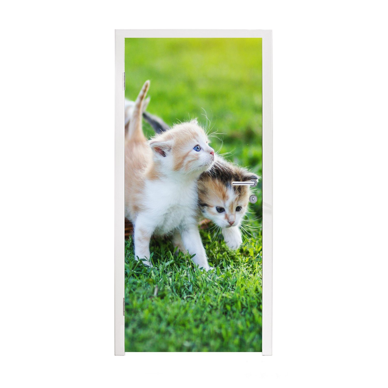 MuchoWow Türtapete Kätzchen - Katze - Korb - Mädchen - Kinder - Jungen - Kinder, Matt, bedruckt, (1 St), Fototapete für Tür, Türaufkleber, 75x205 cm