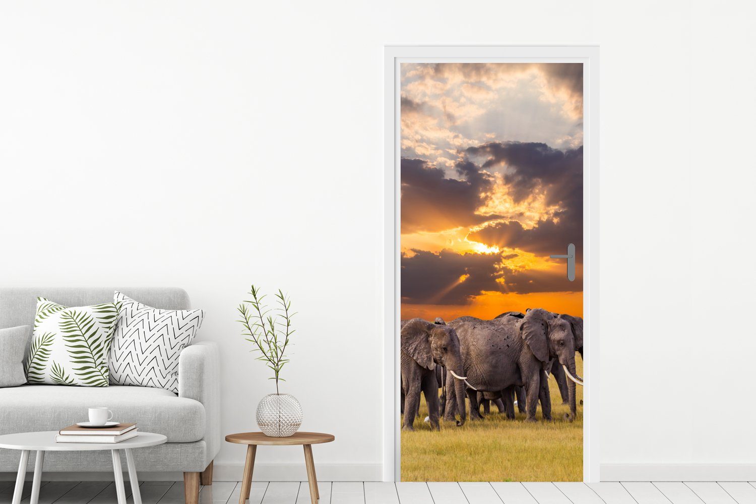 Tiere - Natur, Fototapete Gras (1 Türtapete St), Sonnenuntergang - 75x205 Matt, bedruckt, Türaufkleber, - für Tür, MuchoWow cm Elefant -